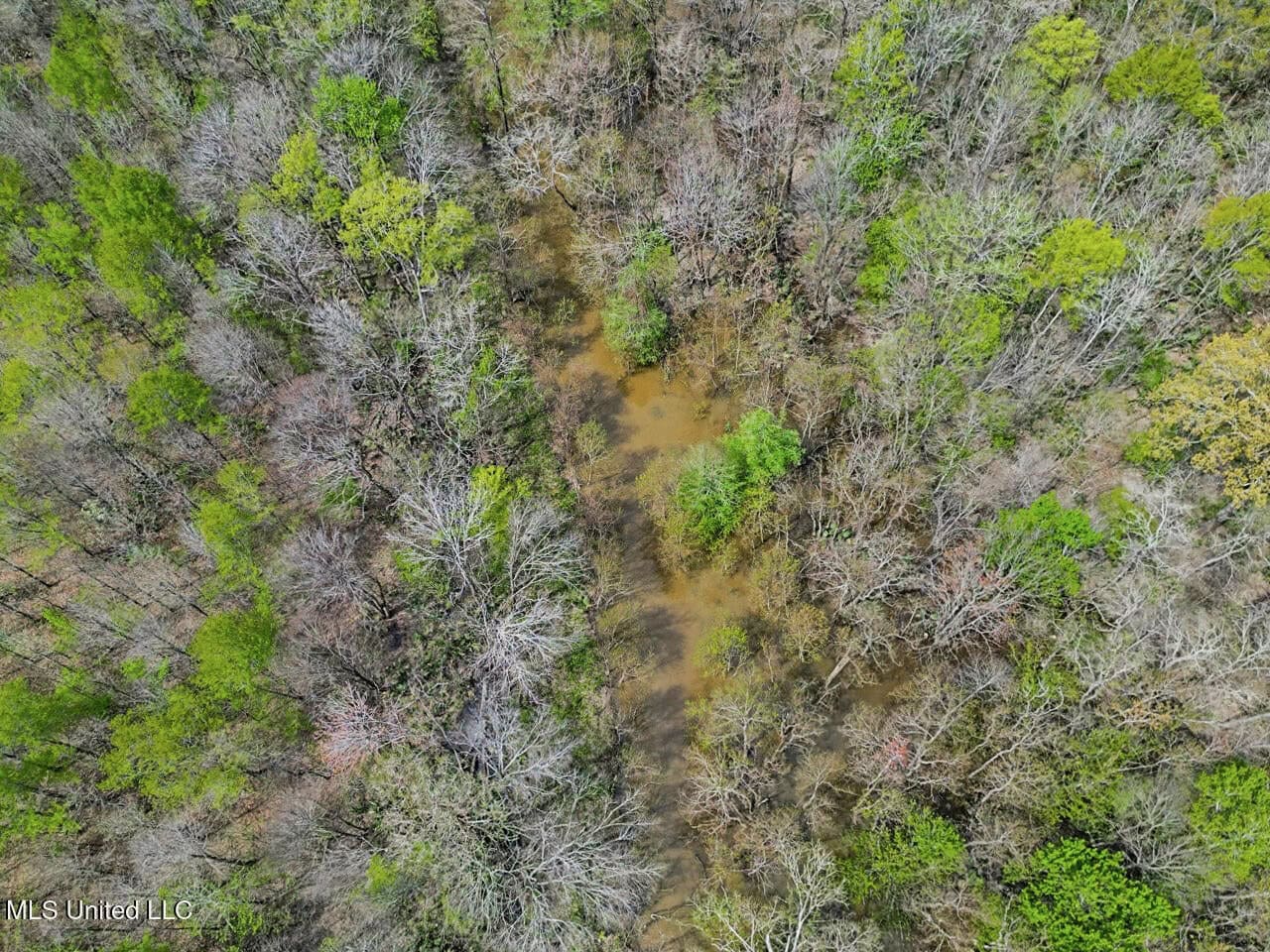 Affordable Deer/Duck Combination in Concordia Parish