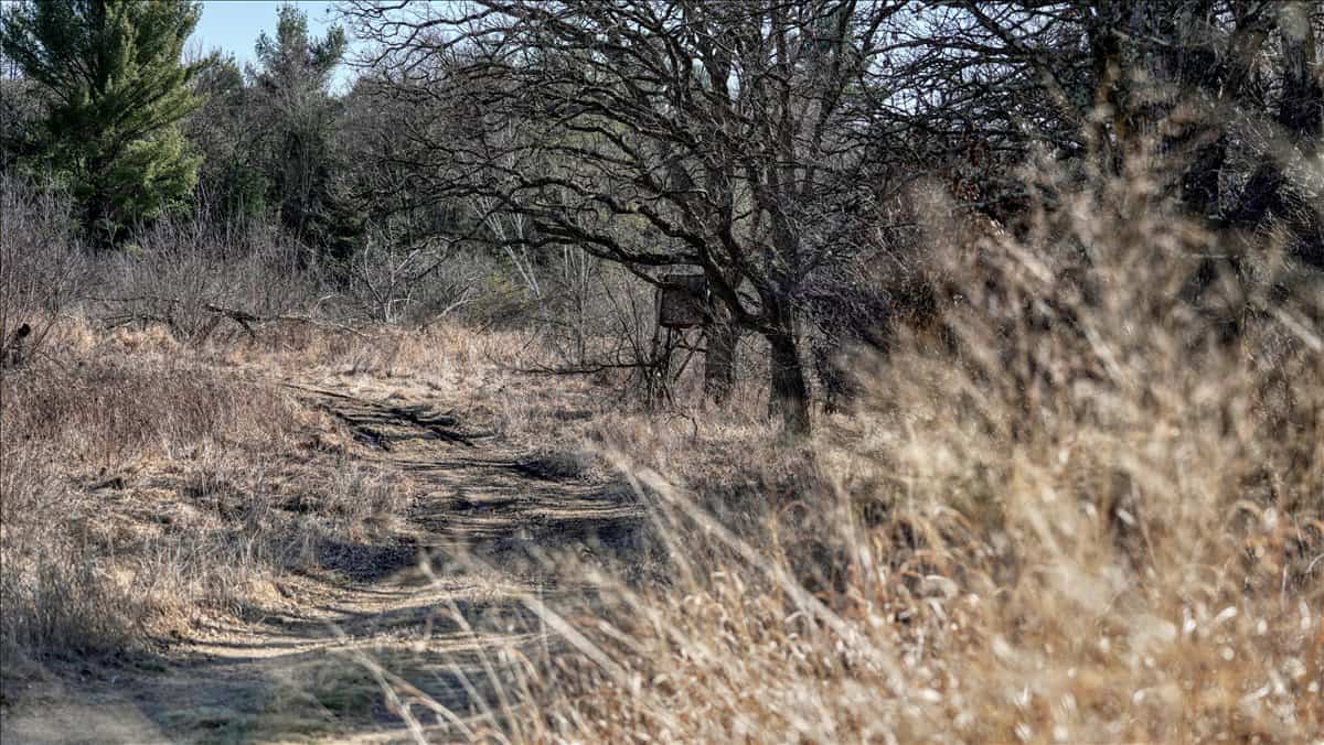 Premier Hunting and Recreational Property in Monroe County