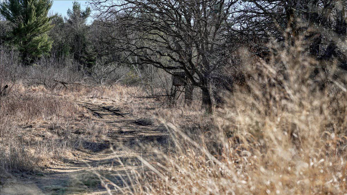 Premier Hunting and Recreational Property in Monroe County