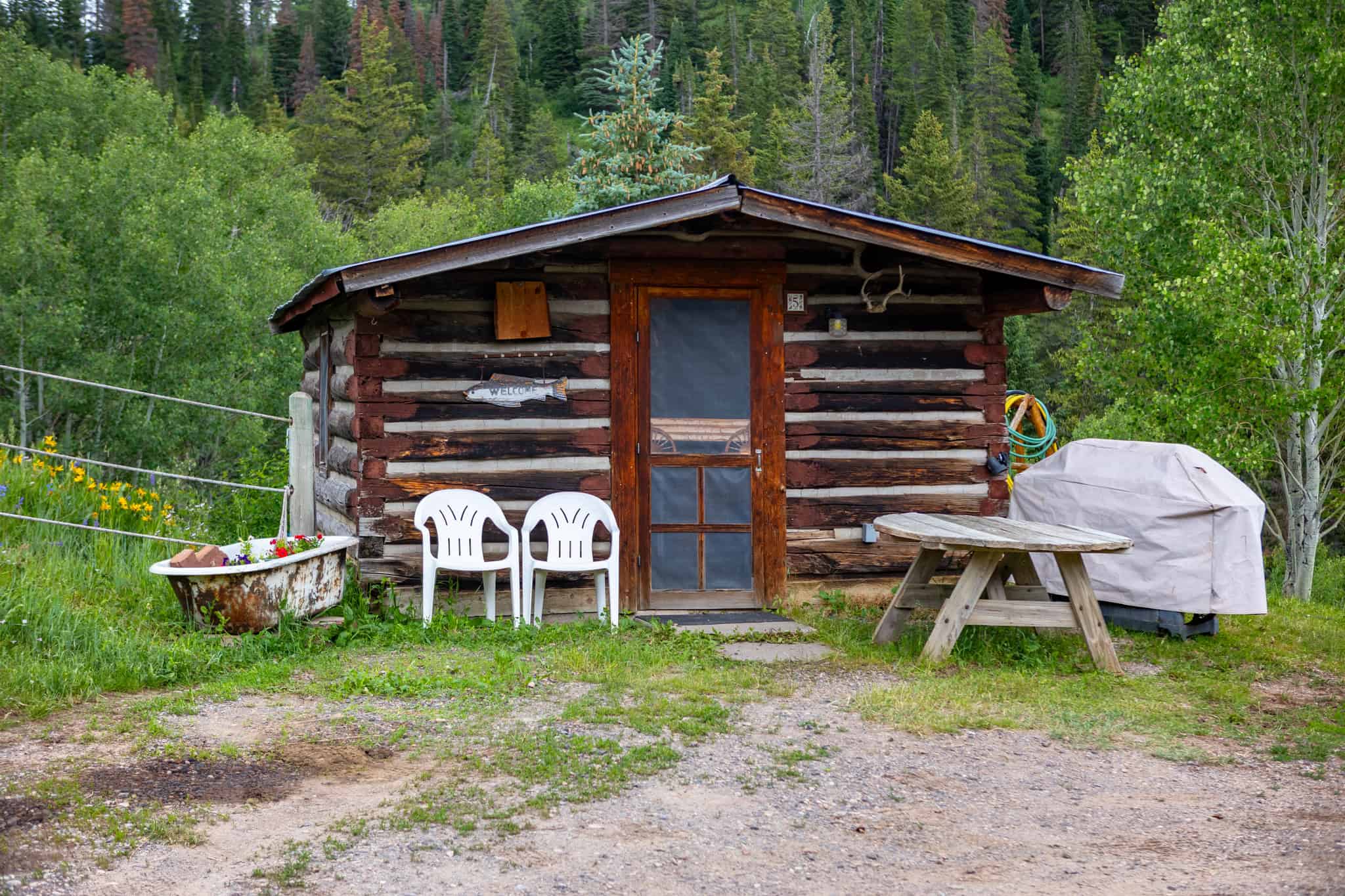Colorado Outfitting Business for Sale Accessing National Forest