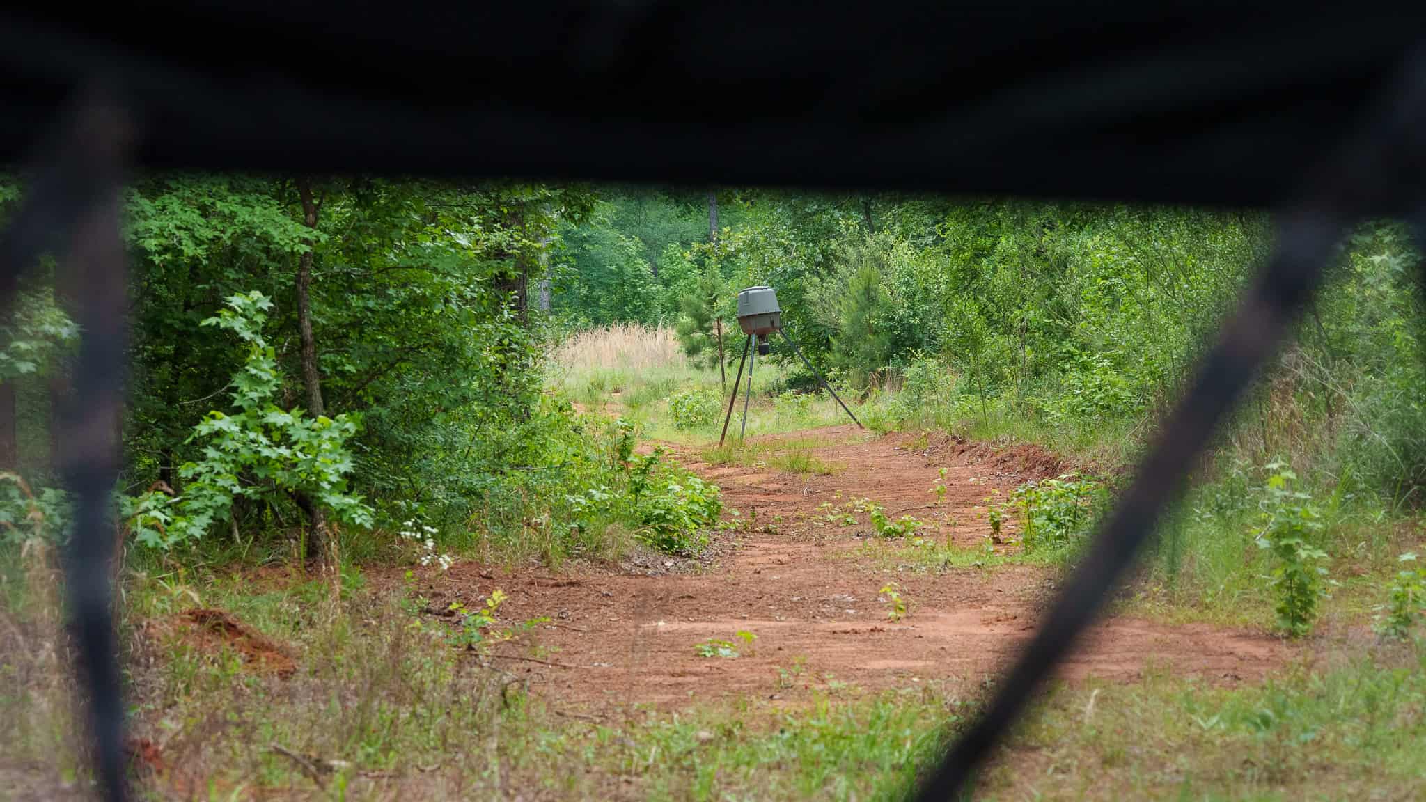 Premier East Texas Hunting & Timberland for Sale – 699 Acres in Ben Wheeler, TX