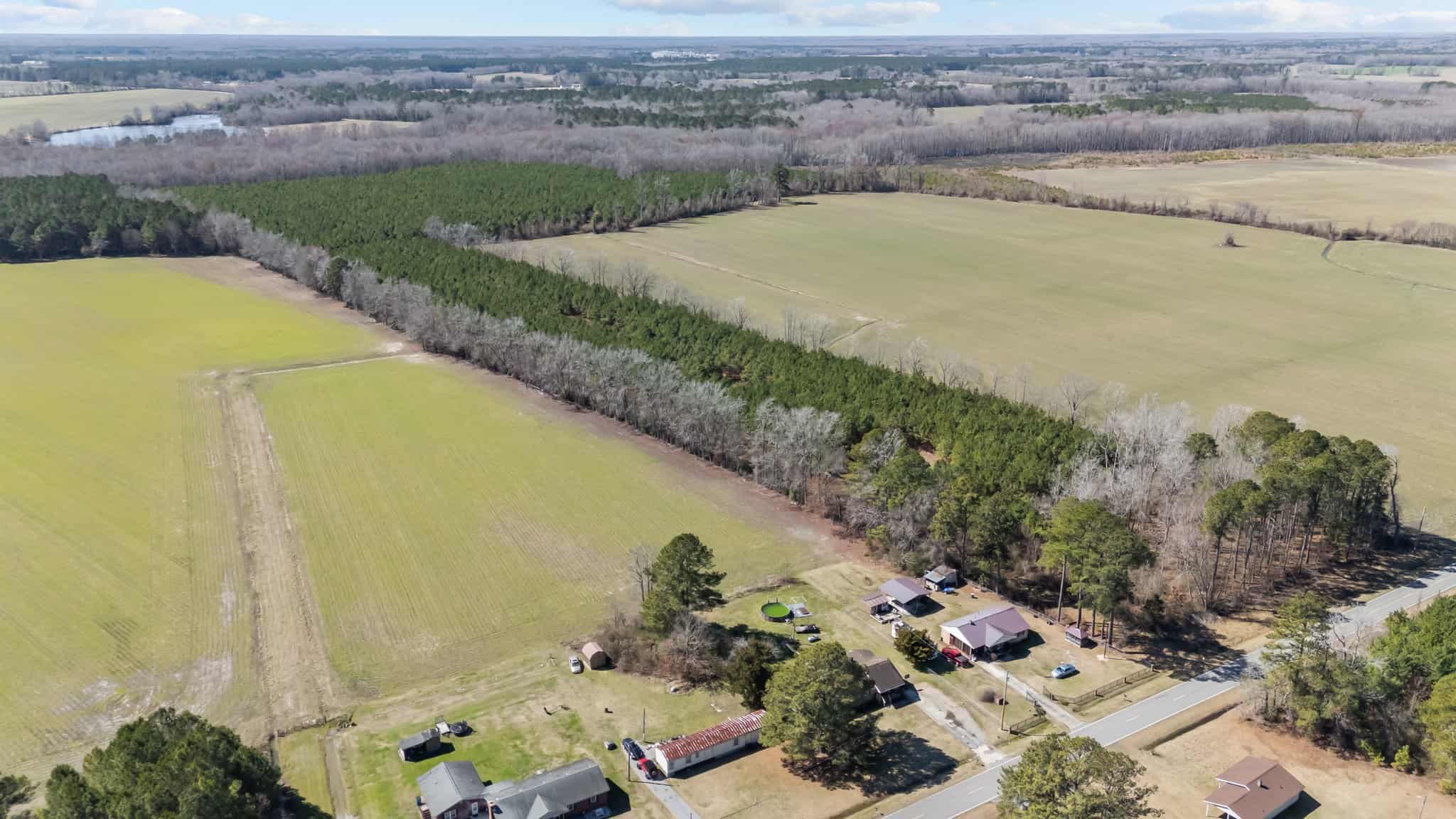 56 Acres of Hunting Property in Bertie County, NC