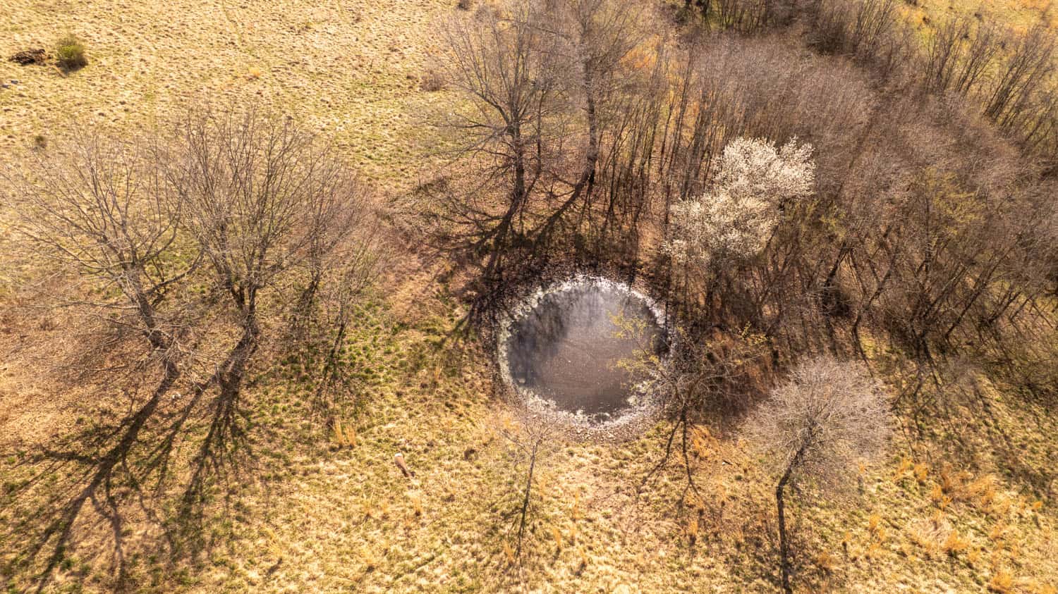 Home and Farm for sale in the Southern Missouri Ozarks