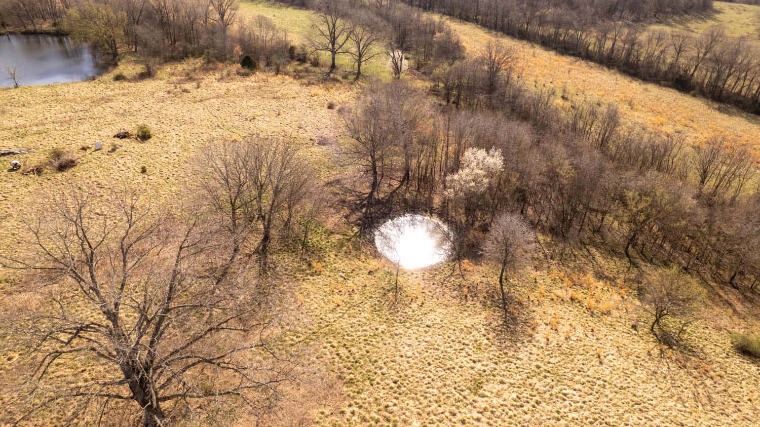 Home and Farm for sale in the Southern Missouri Ozarks
