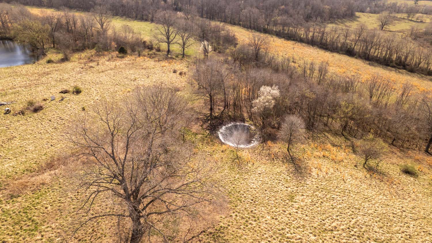 Home and Farm for sale in the Southern Missouri Ozarks