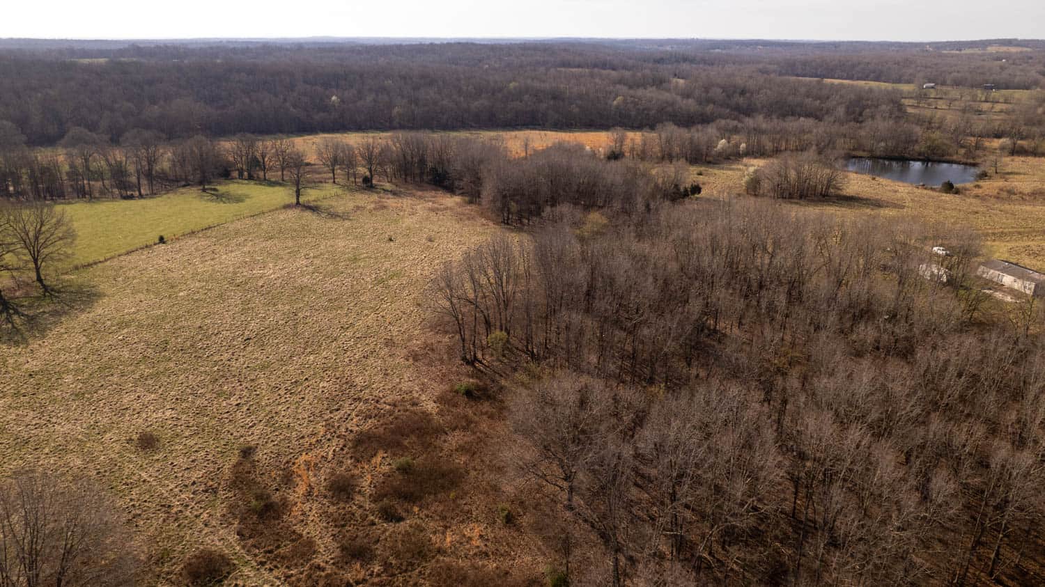 Home and Farm for sale in the Southern Missouri Ozarks