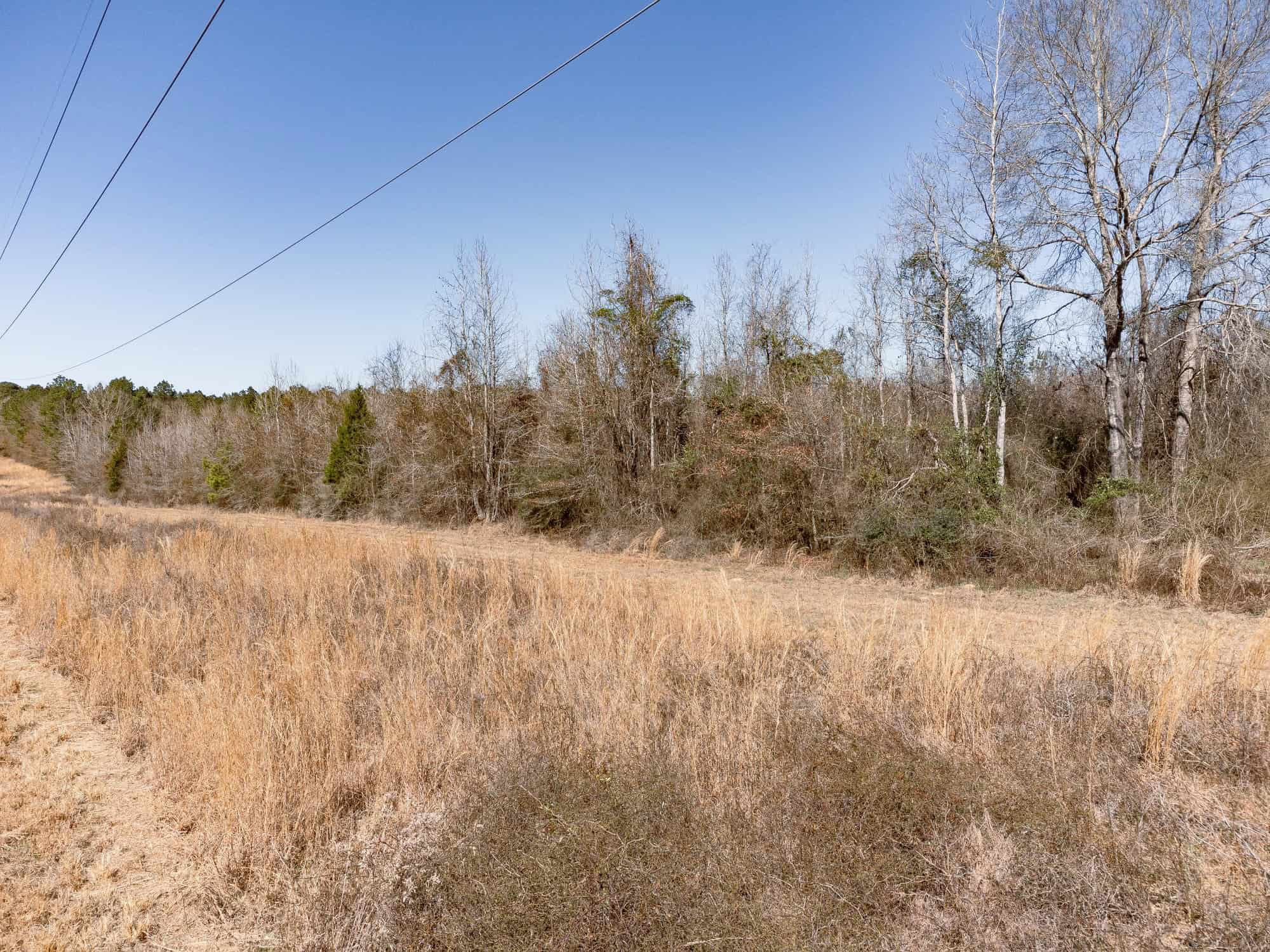 Woodville 54 – SW Lincoln Parish Timber Tract