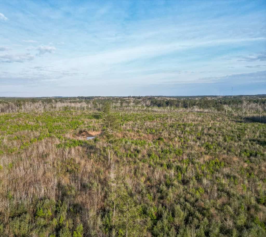 Land for Sale in Amite County, MS