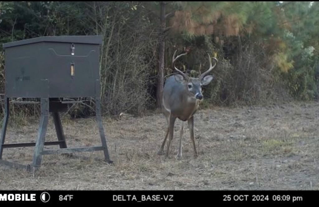 Affordable Hunting Property in Amite County