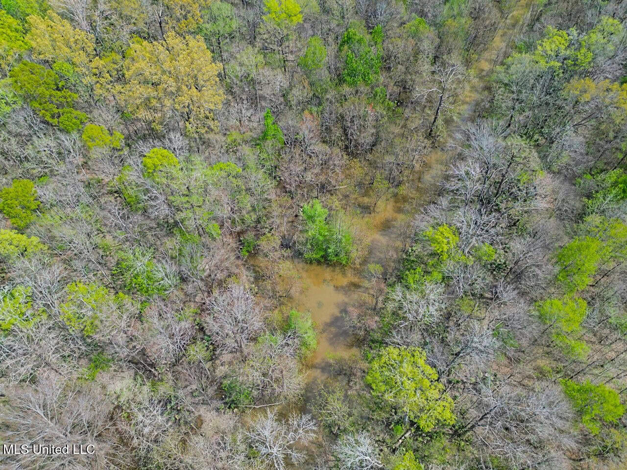Affordable Deer/Duck Combination in Concordia Parish