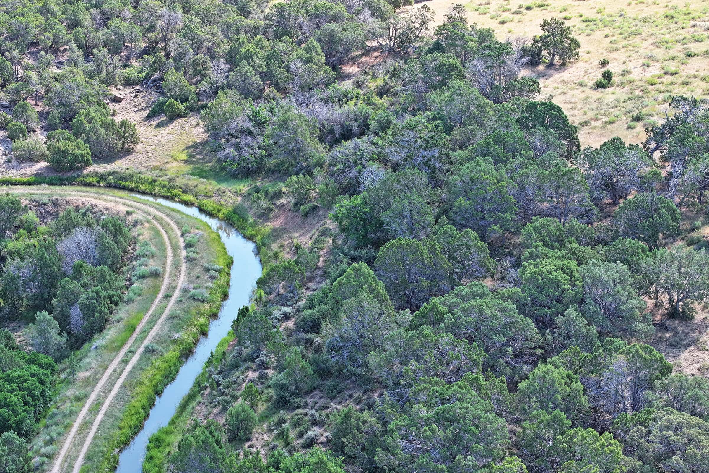 Colorado Land For Sale Borders Public Land National Forest and BLM