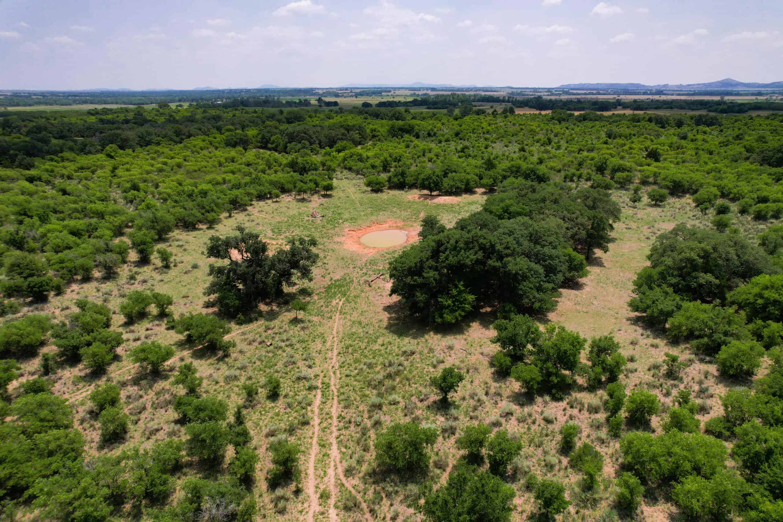 Multi-Property Auction Greer and Kiowa County Land Oklahoma