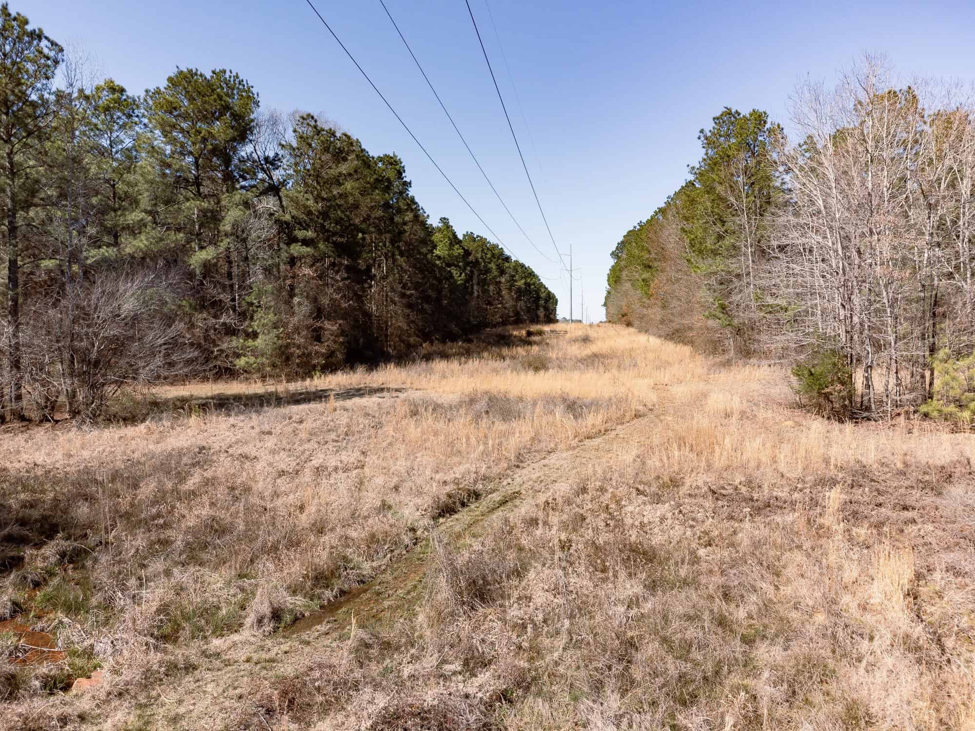 Woodville 54 – SW Lincoln Parish Timber Tract