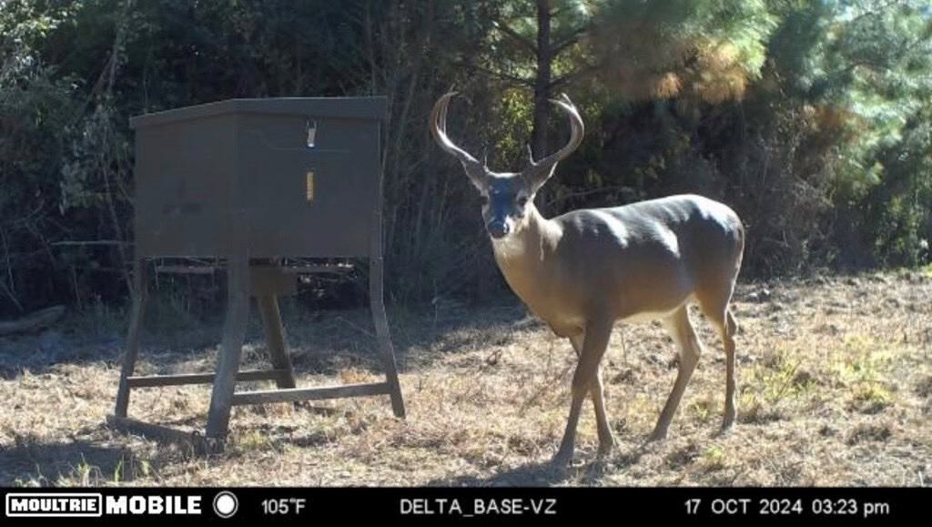 Affordable Hunting Property in Amite County