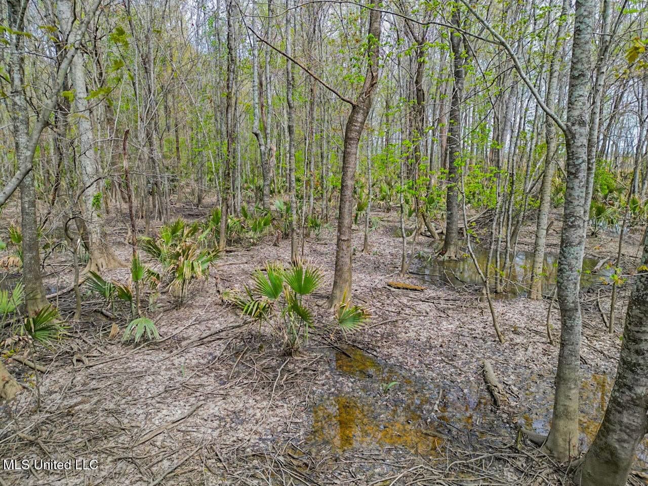 Affordable Deer/Duck Combination in Concordia Parish