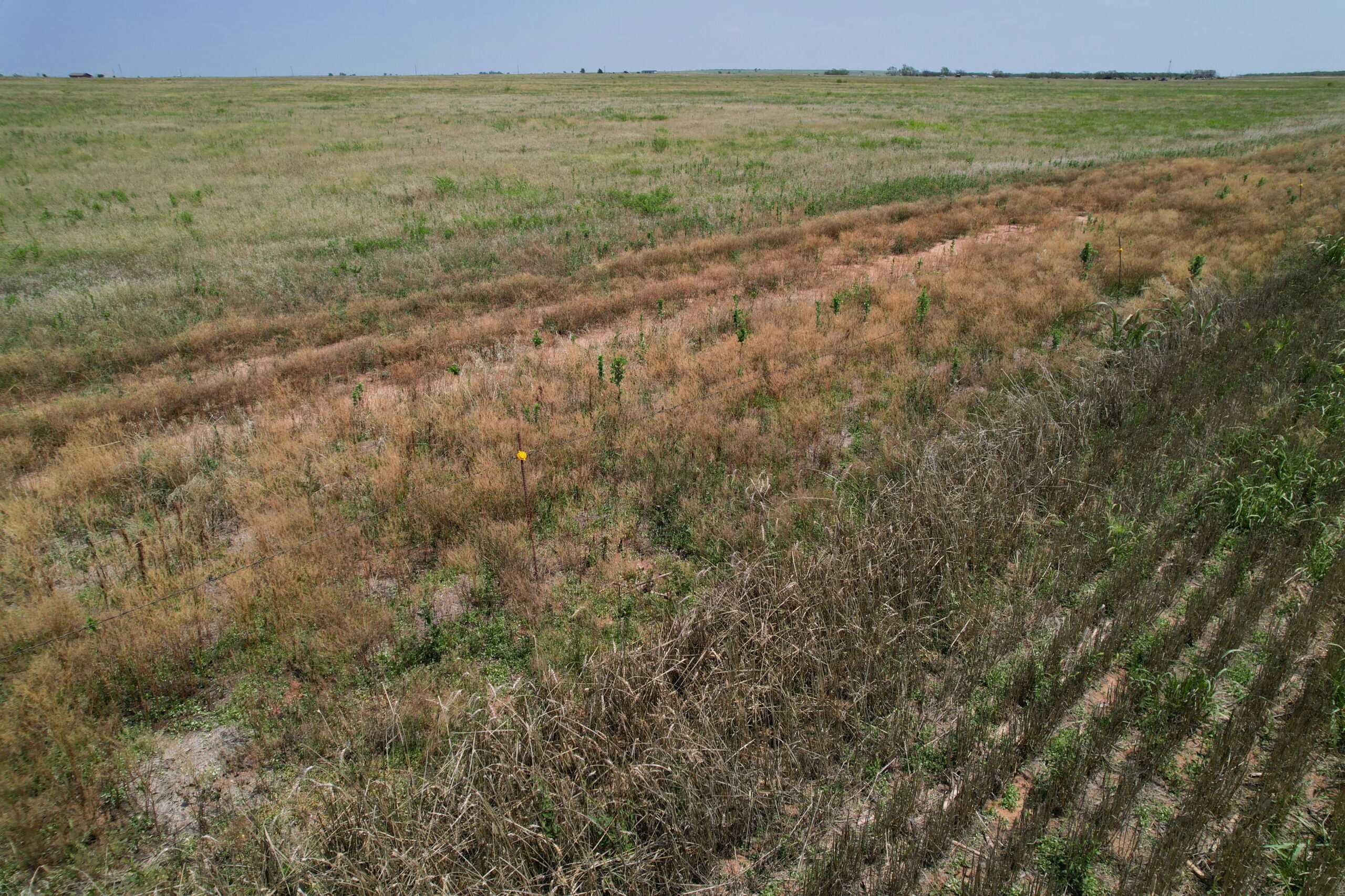 Multi-Property Auction Greer and Kiowa County Land Oklahoma