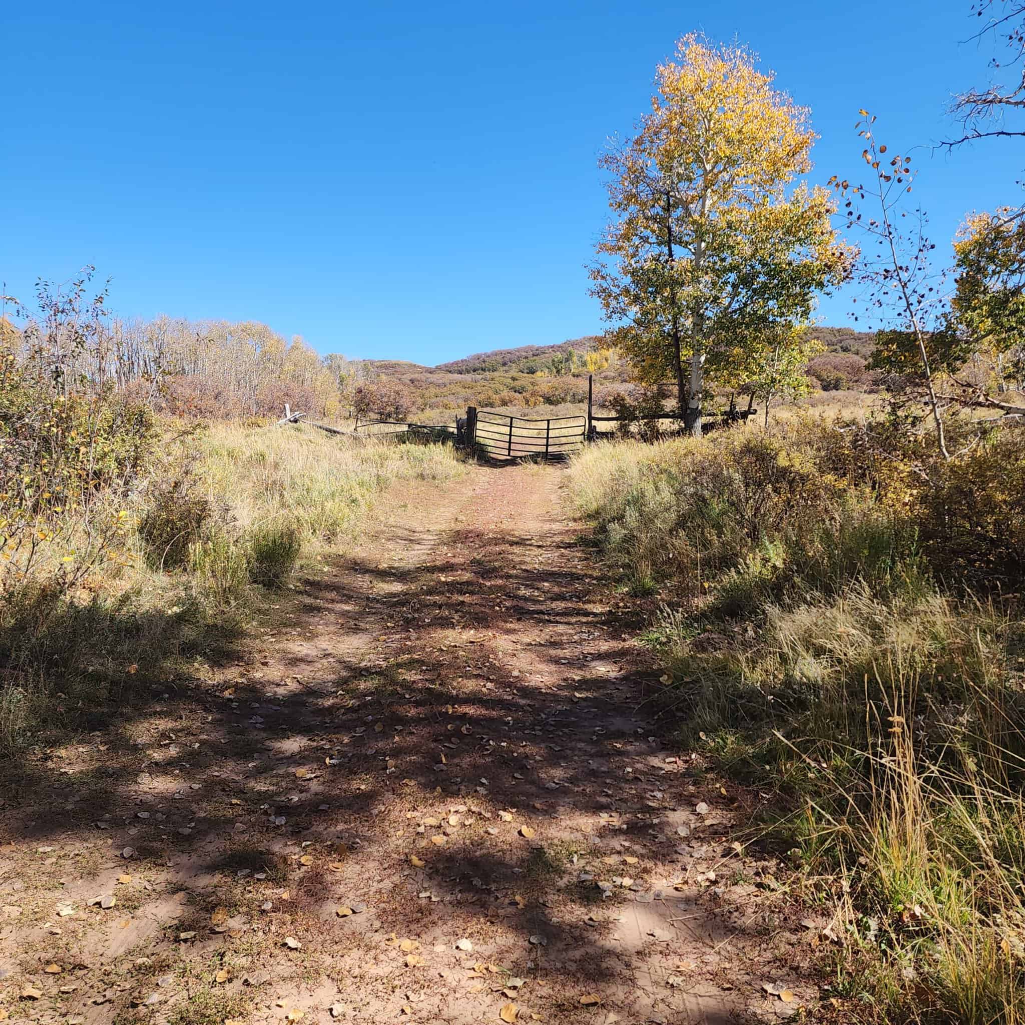 Colorado Hunting Property for Sale