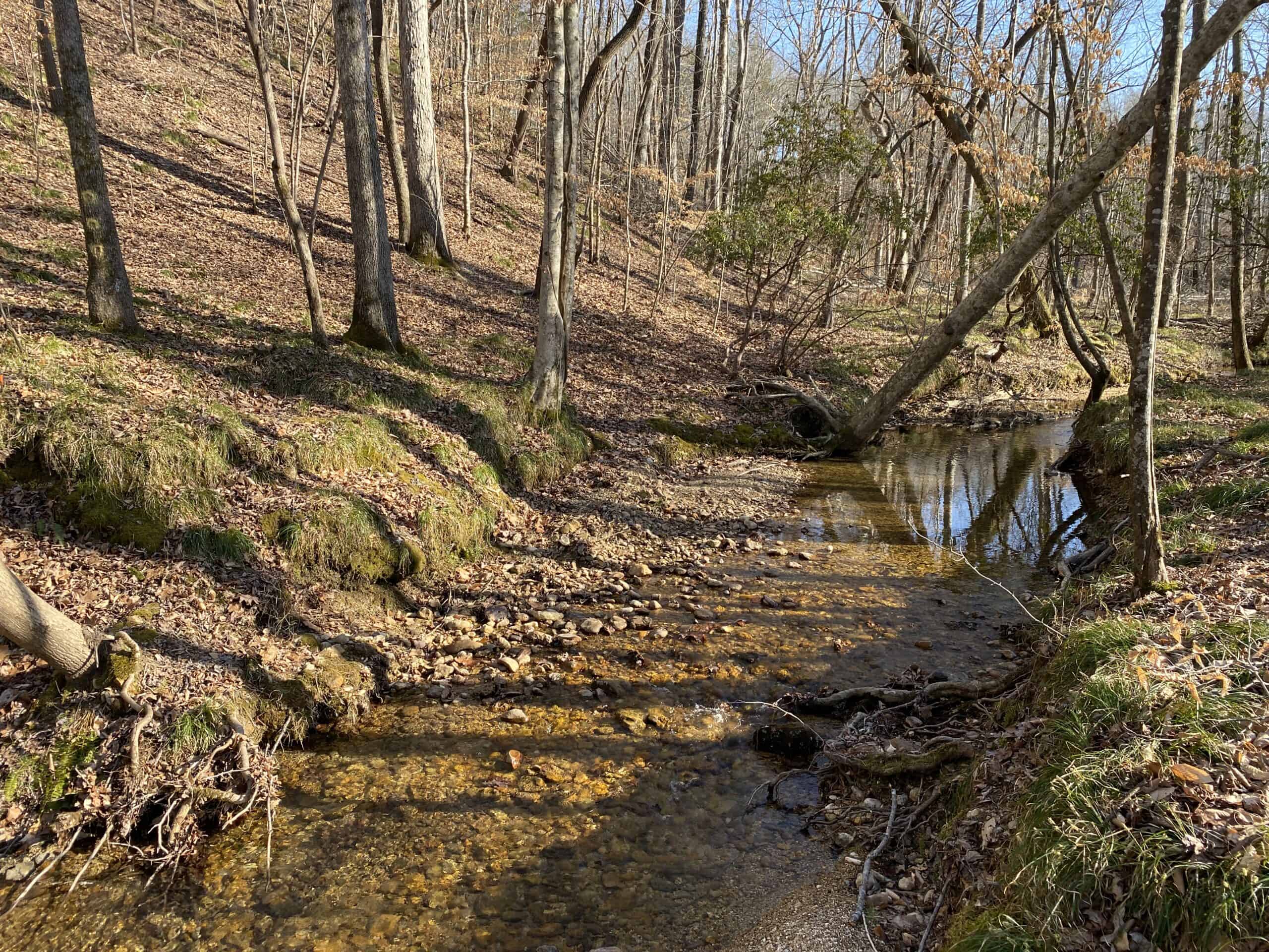 HUNTING PROPERTY FOR SALE IN TN, ROCK BOTTOM CREEKS & 5 FIELDS