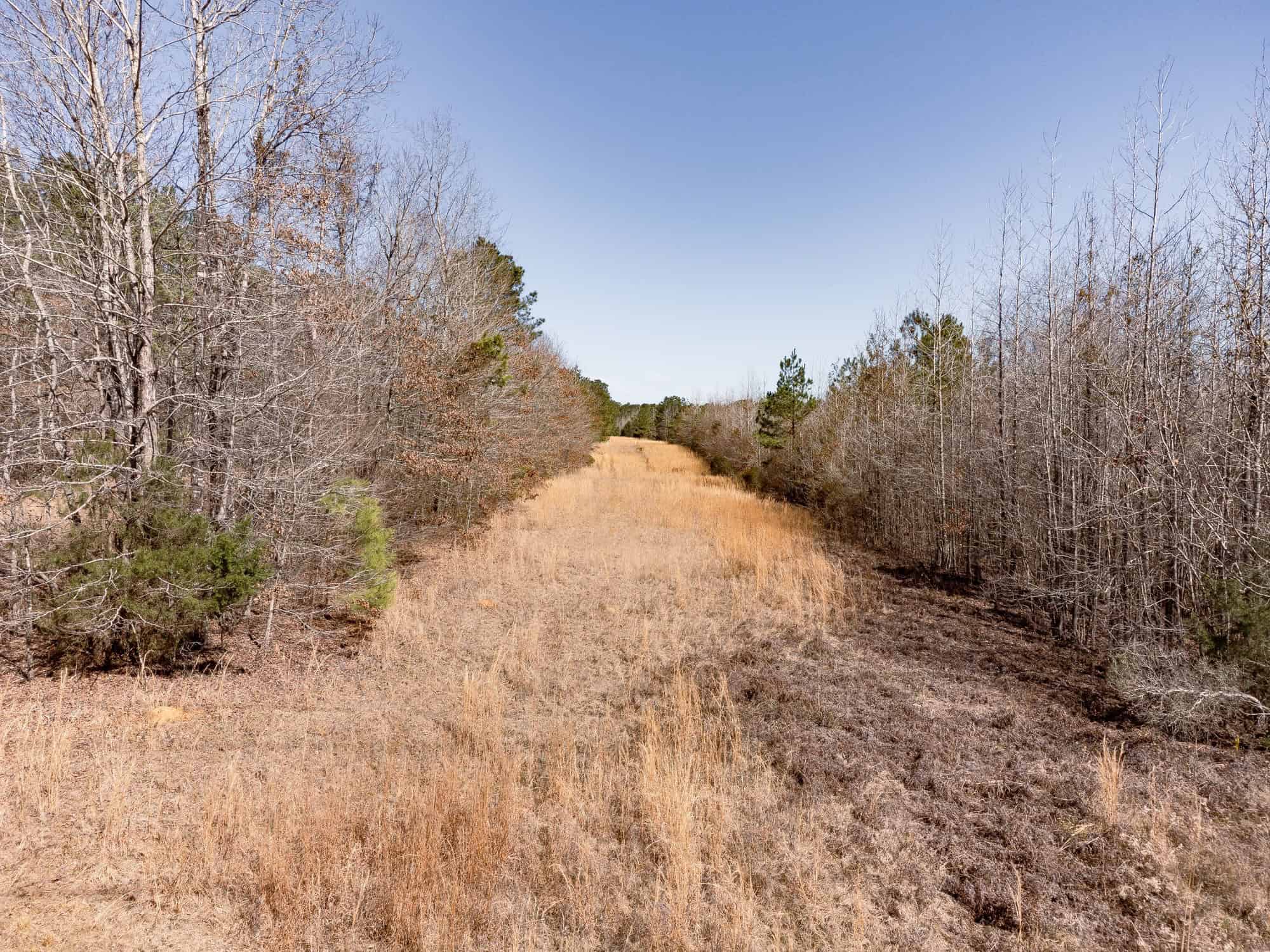 Woodville 45 – SW Lincoln Parish Timber Tract