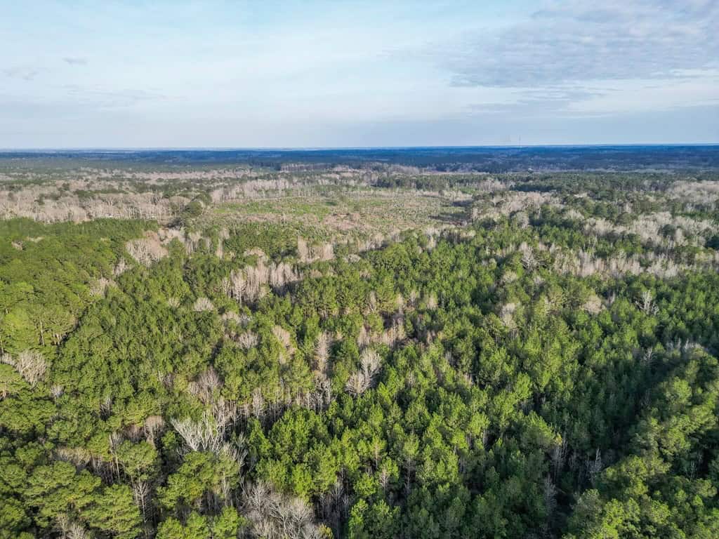 Land for Sale in Amite County, MS