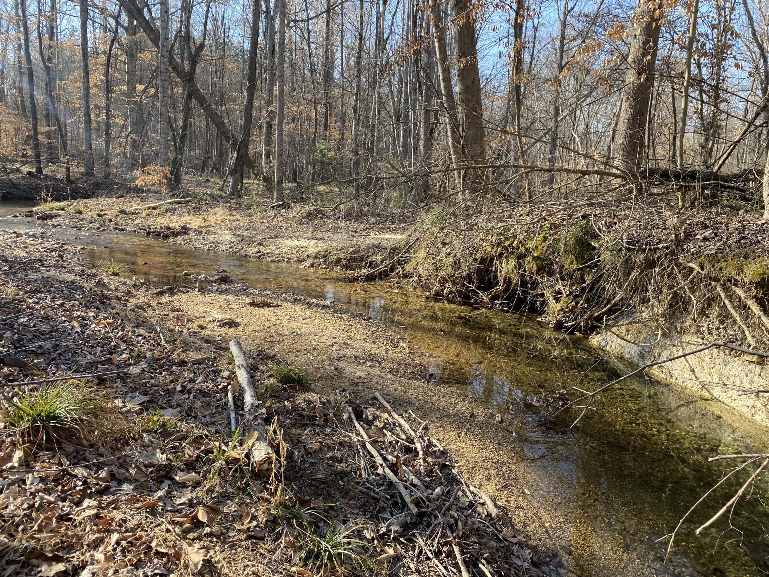 HUNTING PROPERTY FOR SALE IN TN, ROCK BOTTOM CREEKS & 5 FIELDS