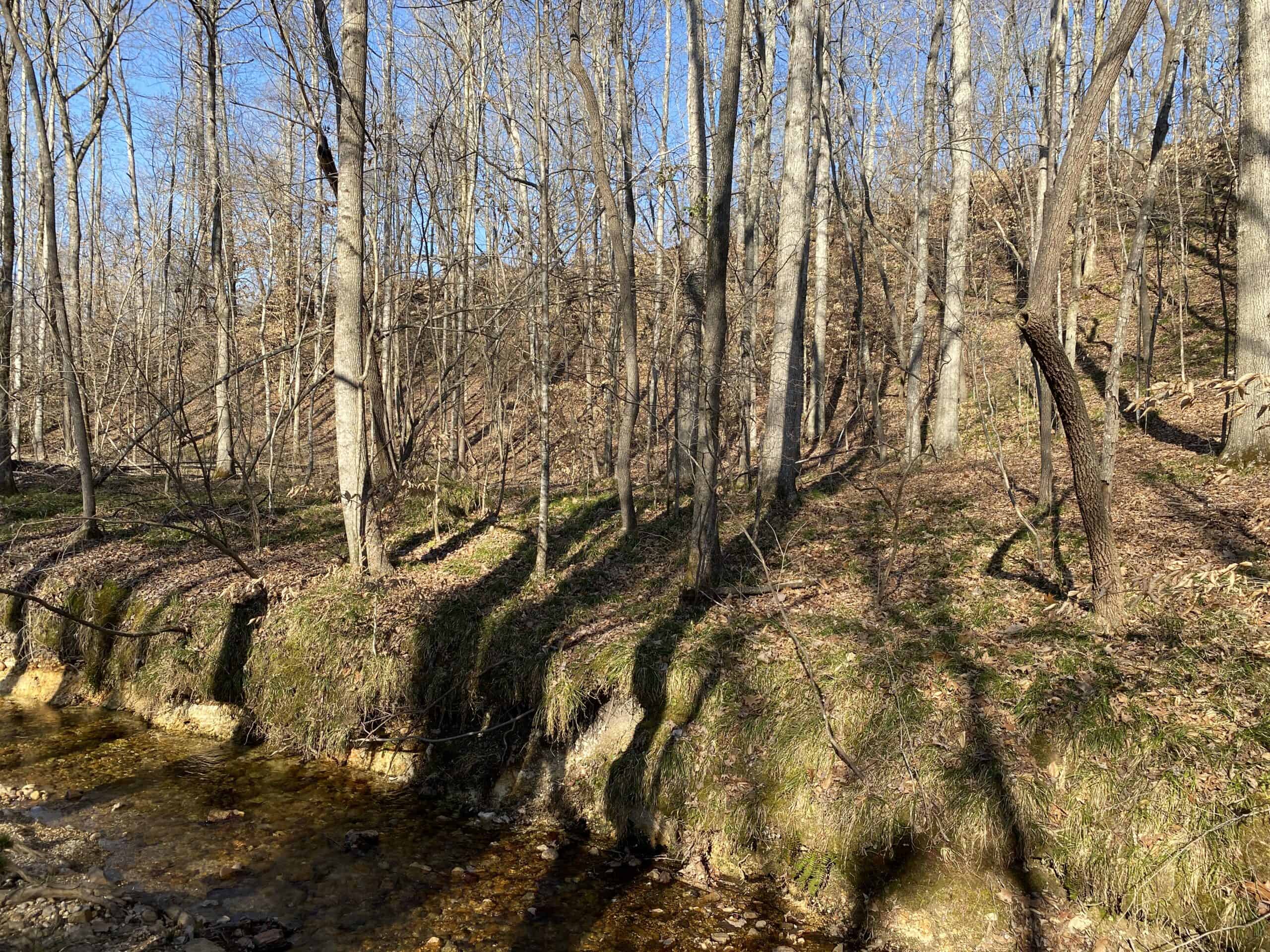 HUNTING PROPERTY FOR SALE IN TN, ROCK BOTTOM CREEKS & 5 FIELDS