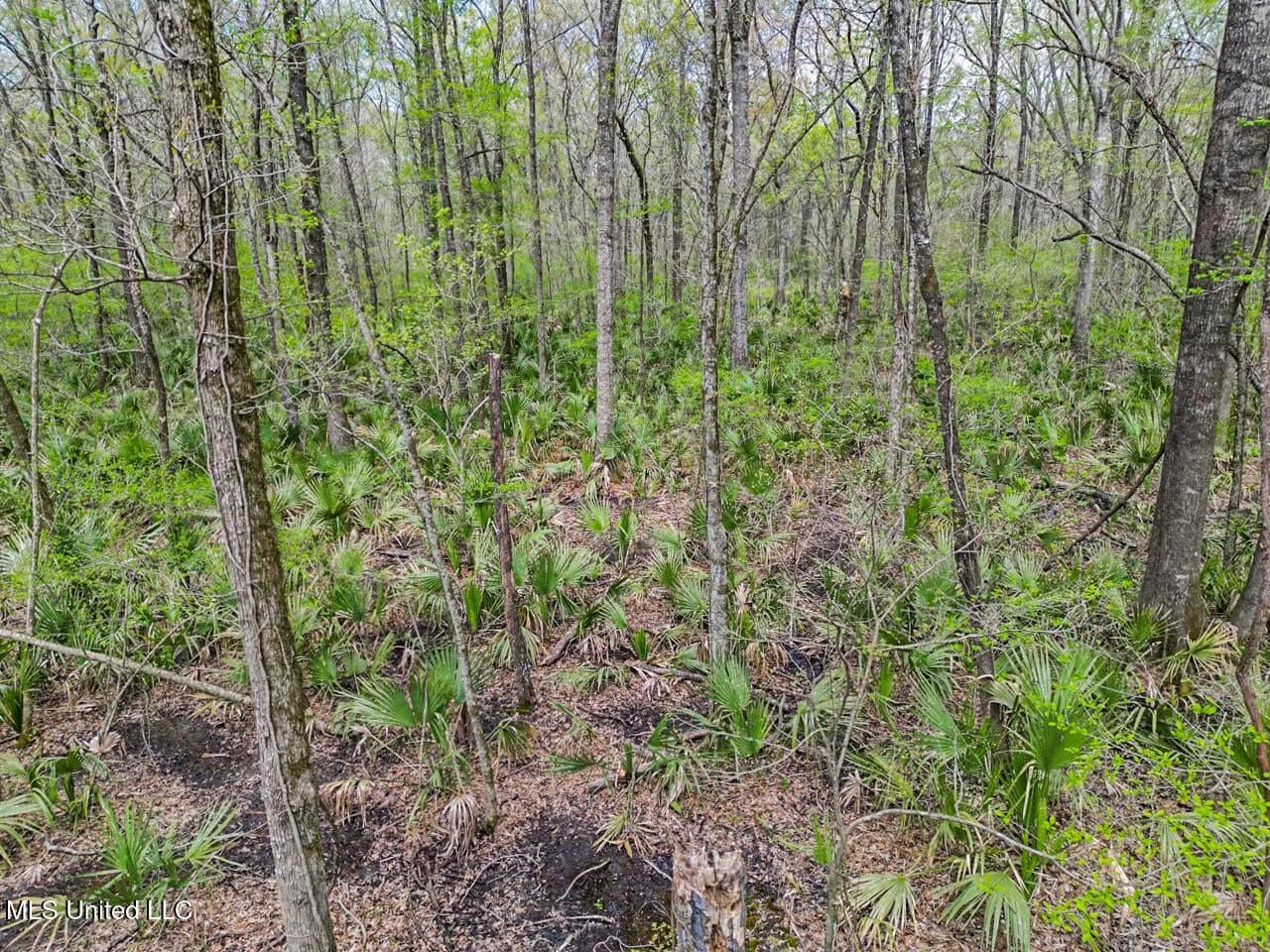 Affordable Deer/Duck Combination in Concordia Parish