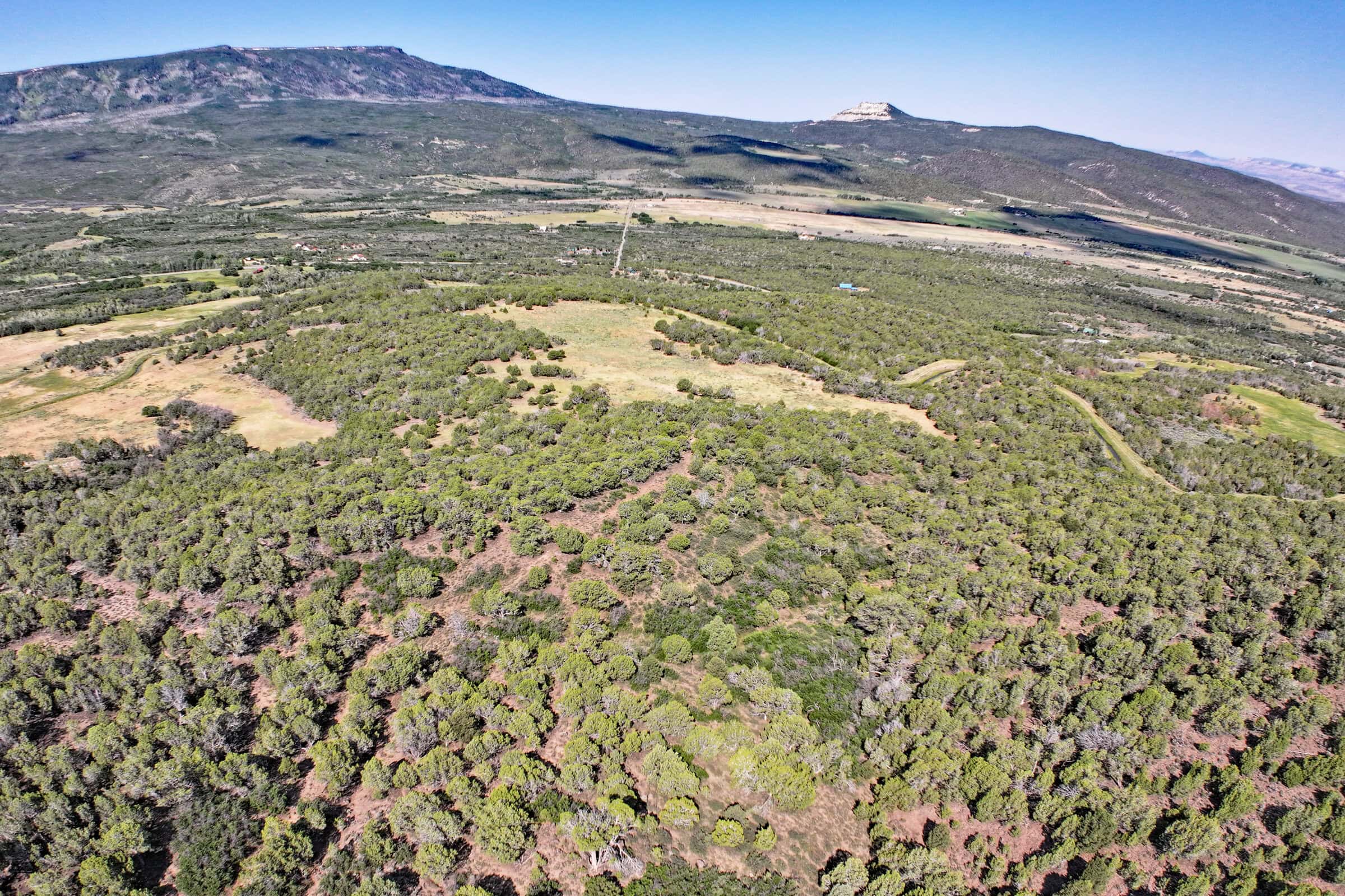 Colorado Land For Sale Borders Public Land National Forest and BLM