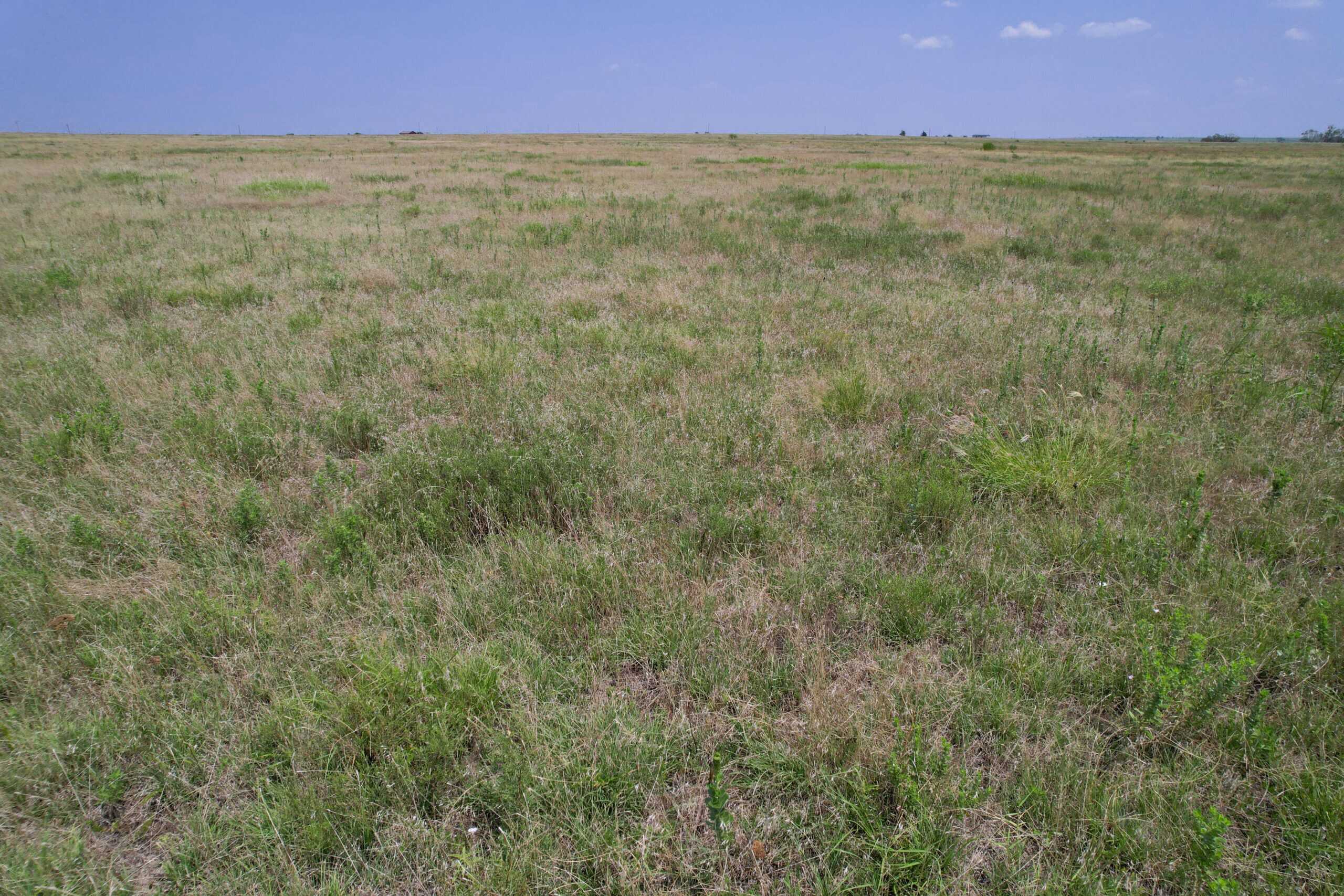 Multi-Property Auction Greer and Kiowa County Land Oklahoma