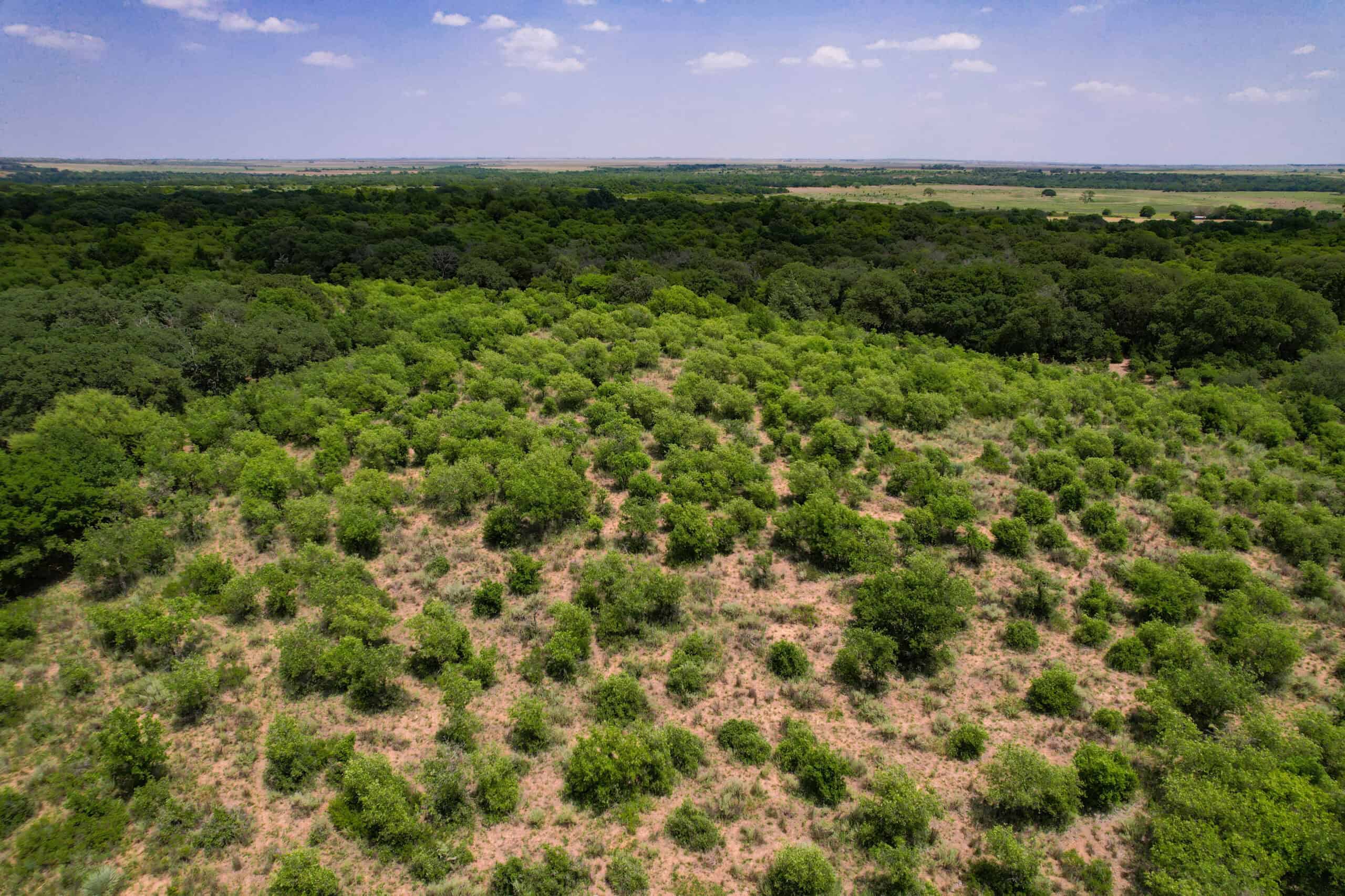 Multi-Property Auction Greer and Kiowa County Land Oklahoma
