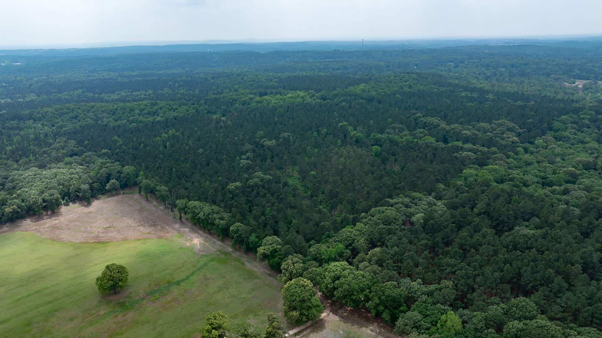Premier East Texas Hunting & Timberland for Sale – 699 Acres in Ben Wheeler, TX
