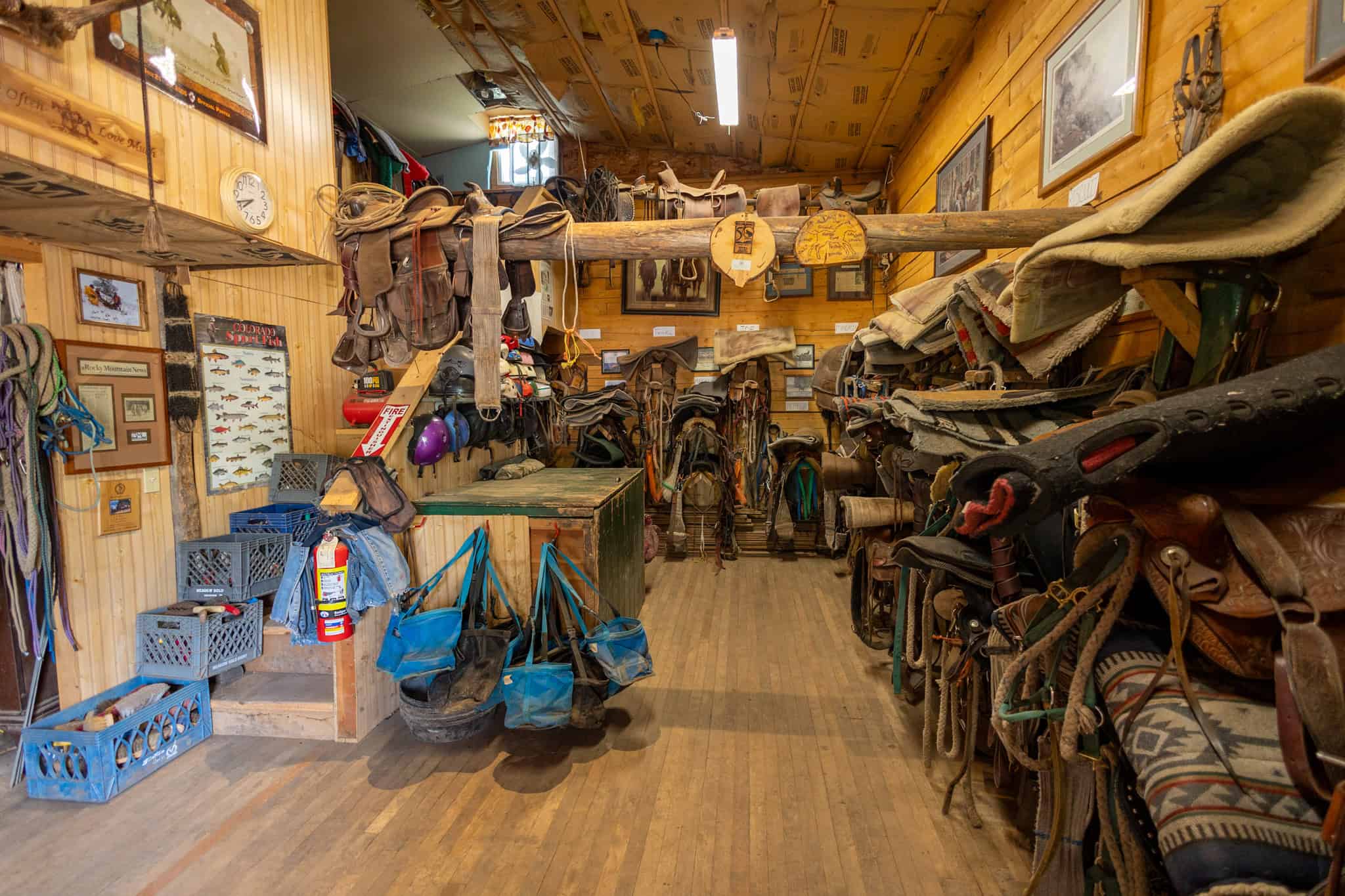 Colorado Outfitting Business for Sale Accessing National Forest