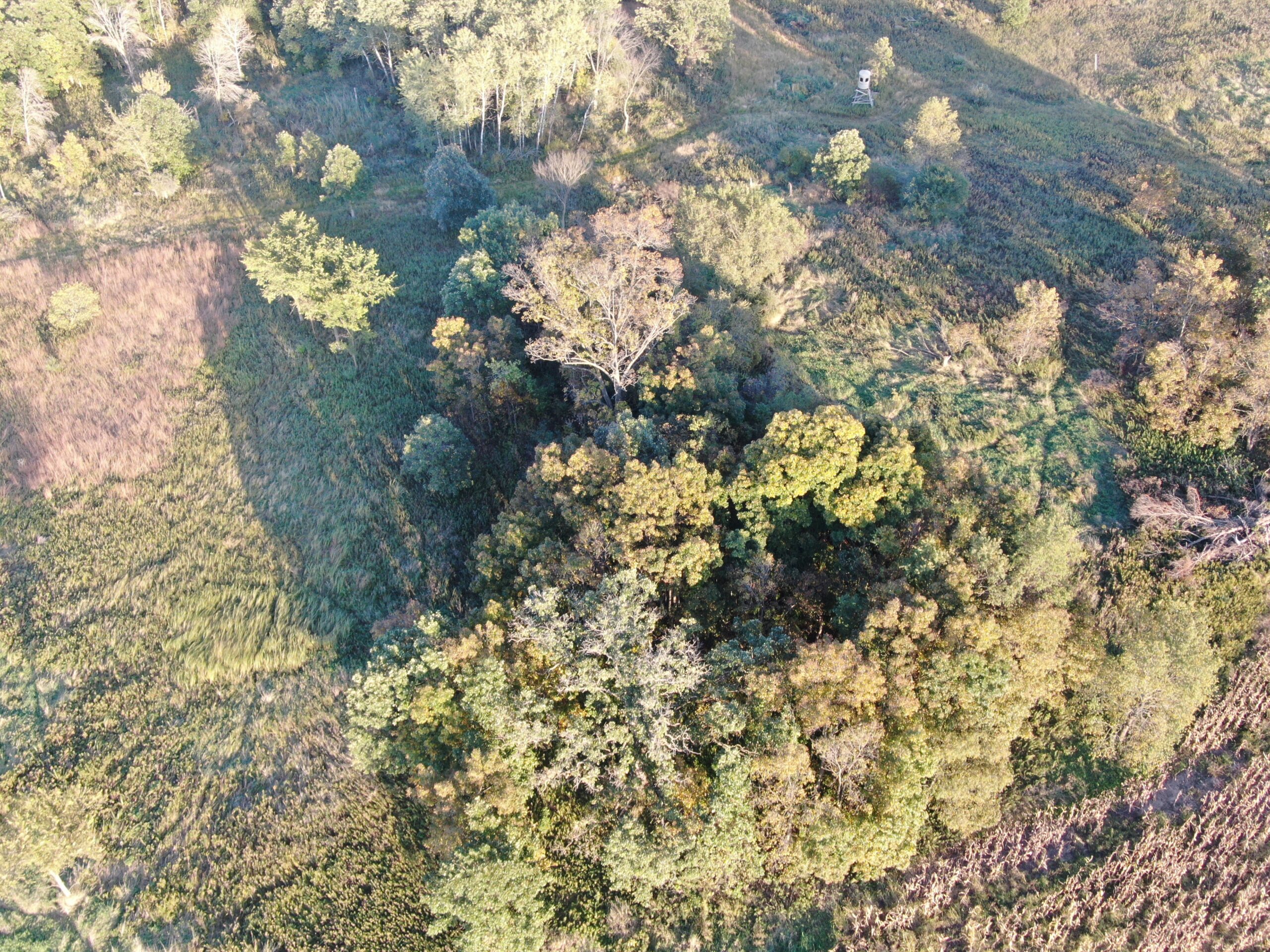 40-acre gem in Marquette County, Wisconsin