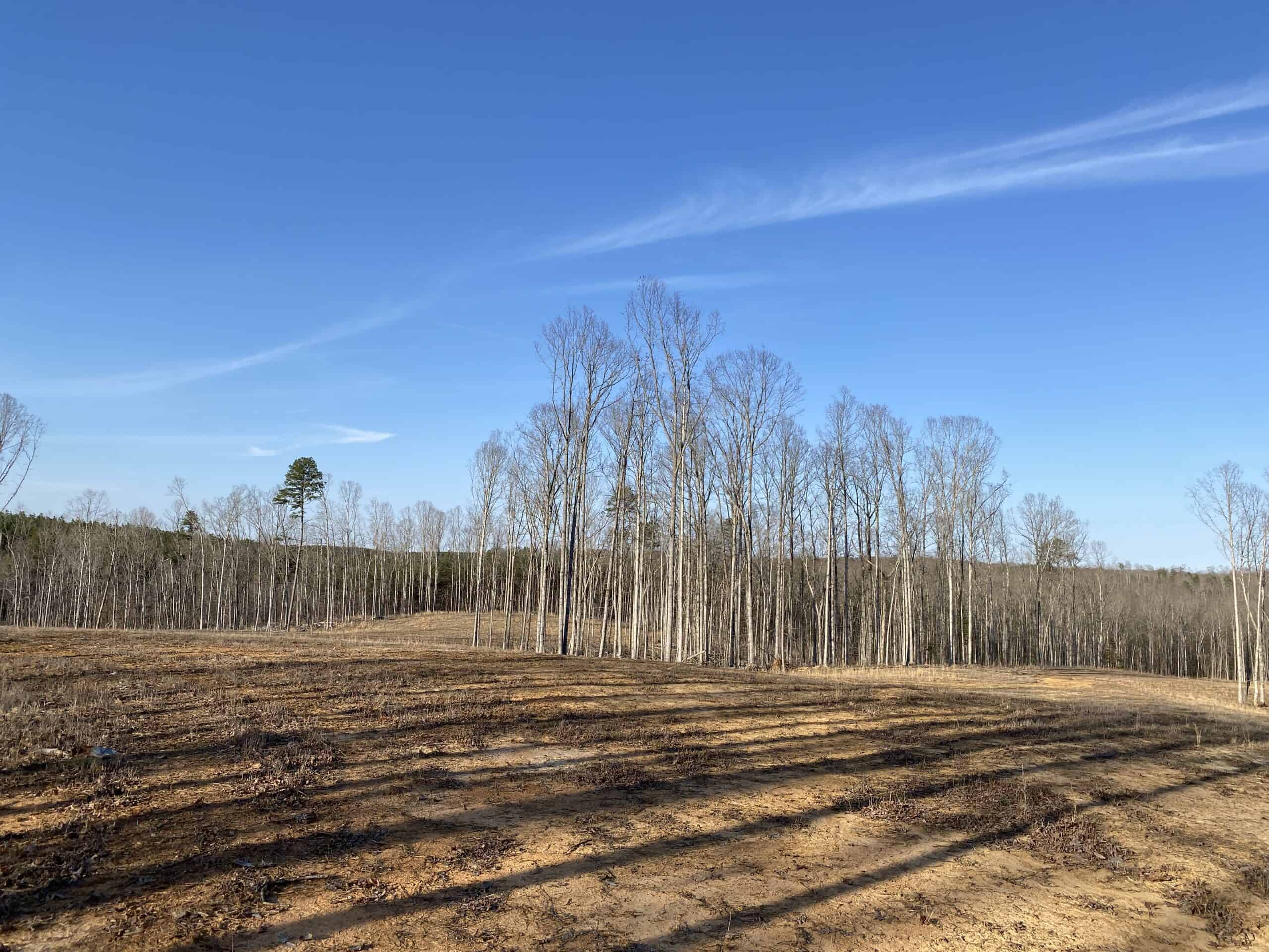 HUNTING PROPERTY FOR SALE IN TN, ROCK BOTTOM CREEKS & 5 FIELDS