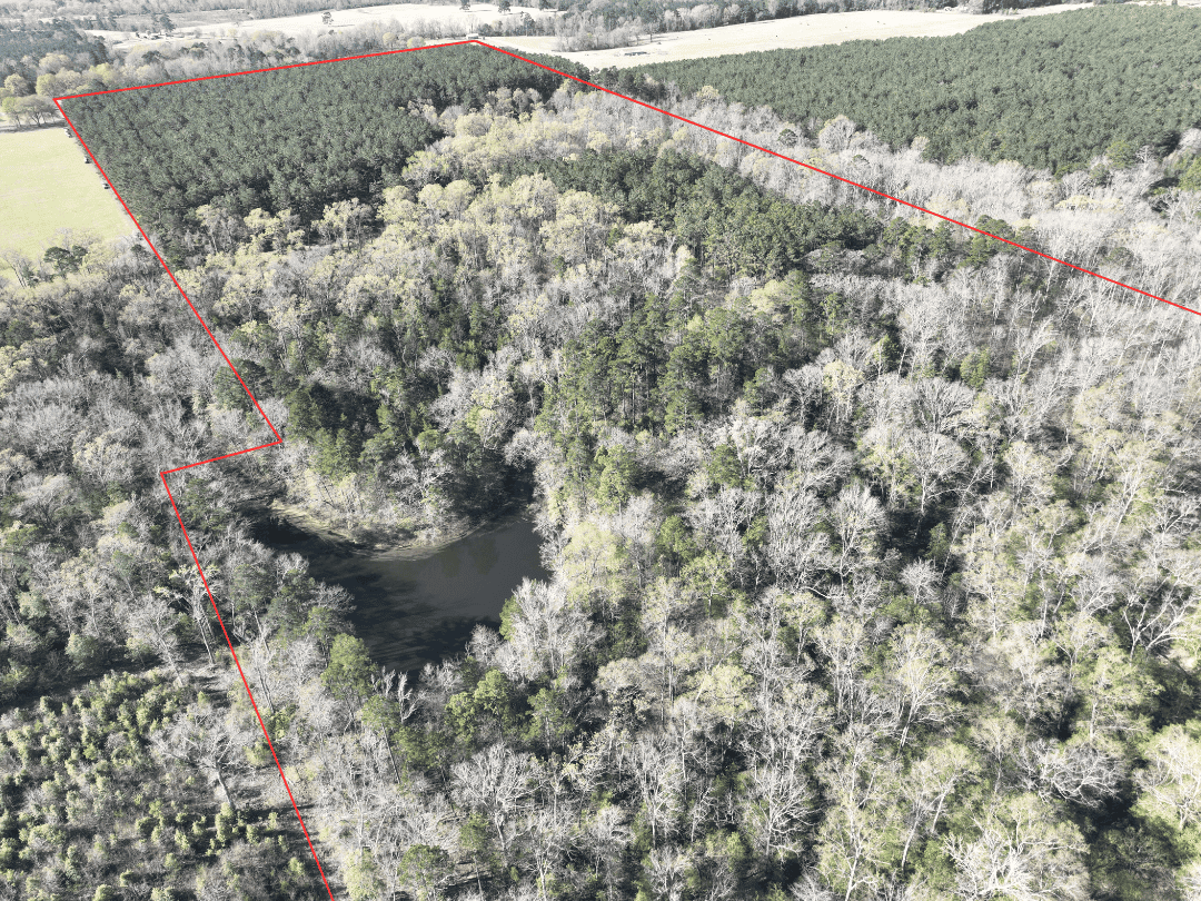Hunting & Timber Investment Property for Sale in East Texas