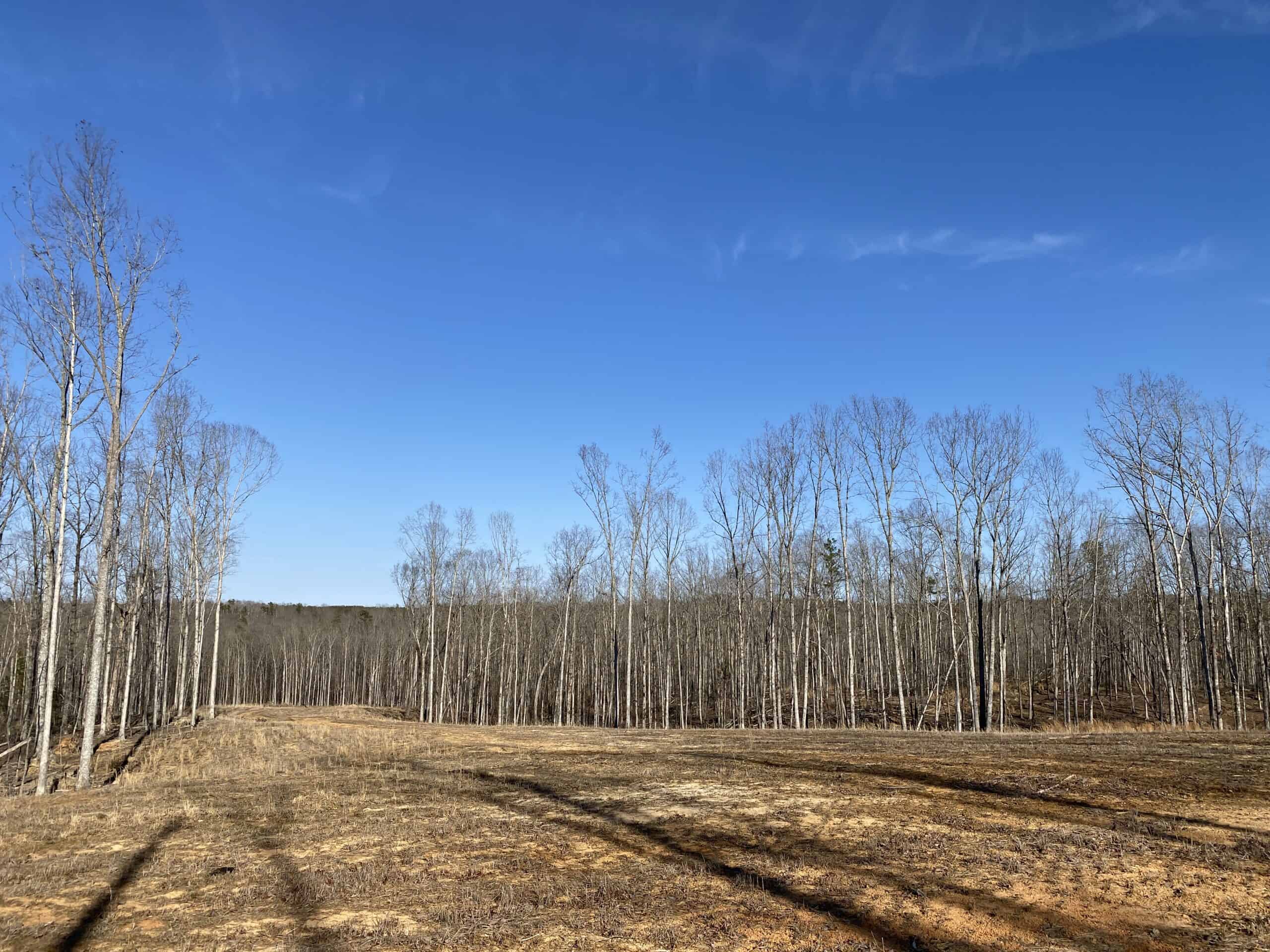 HUNTING PROPERTY FOR SALE IN TN, ROCK BOTTOM CREEKS & 5 FIELDS