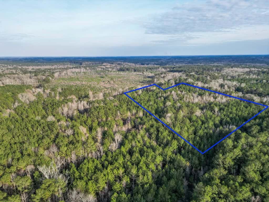 Land for Sale in Amite County, MS