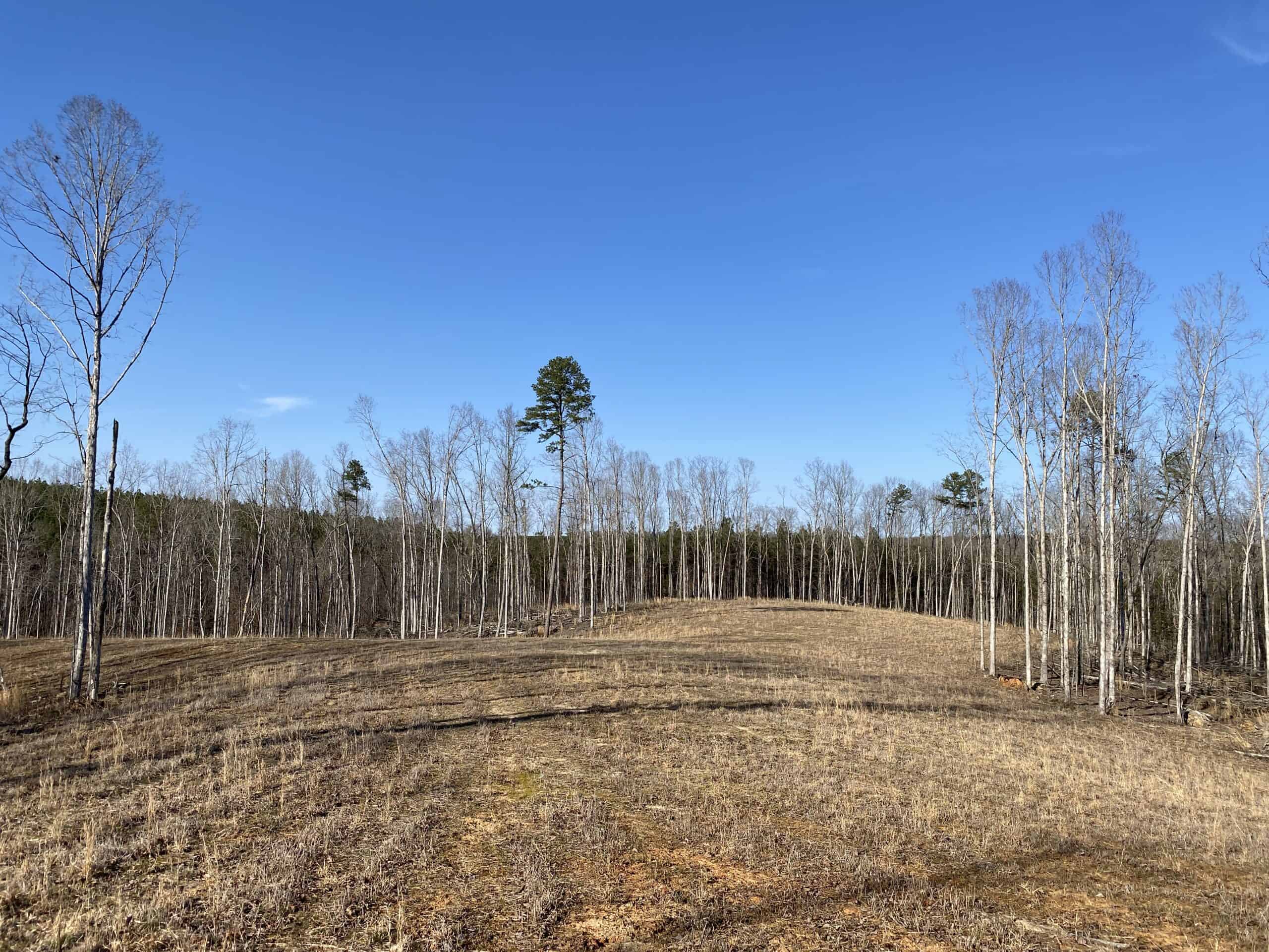 HUNTING PROPERTY FOR SALE IN TN, ROCK BOTTOM CREEKS & 5 FIELDS