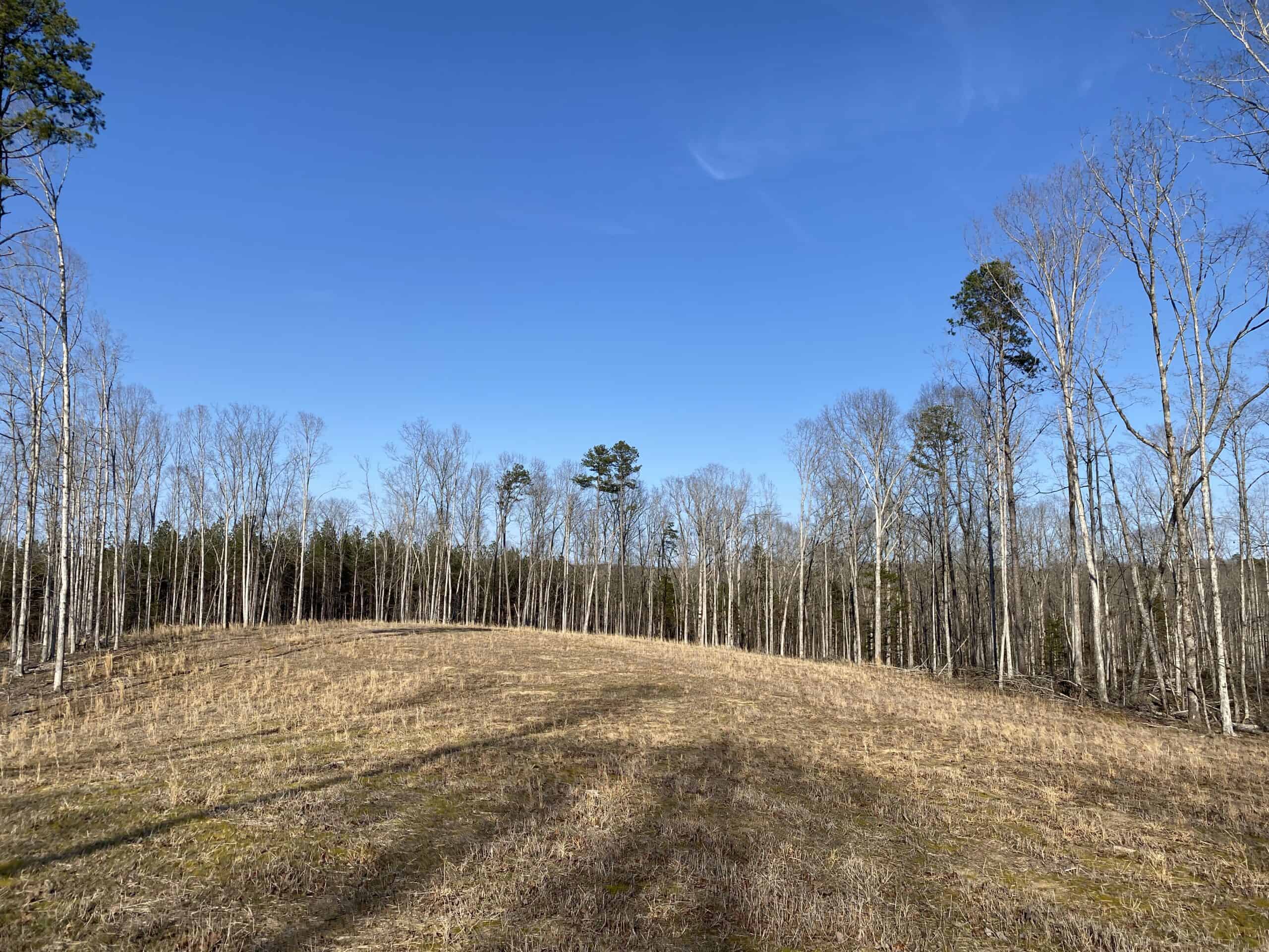 HUNTING PROPERTY FOR SALE IN TN, ROCK BOTTOM CREEKS & 5 FIELDS