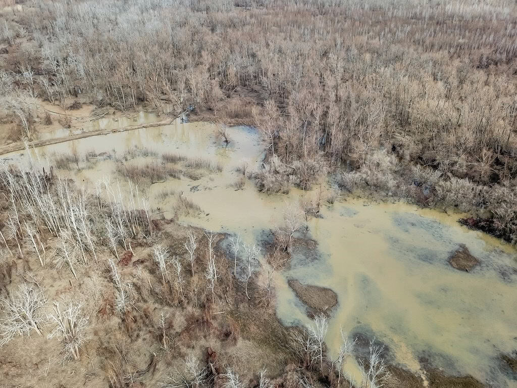 1001 Travelers Rest Road