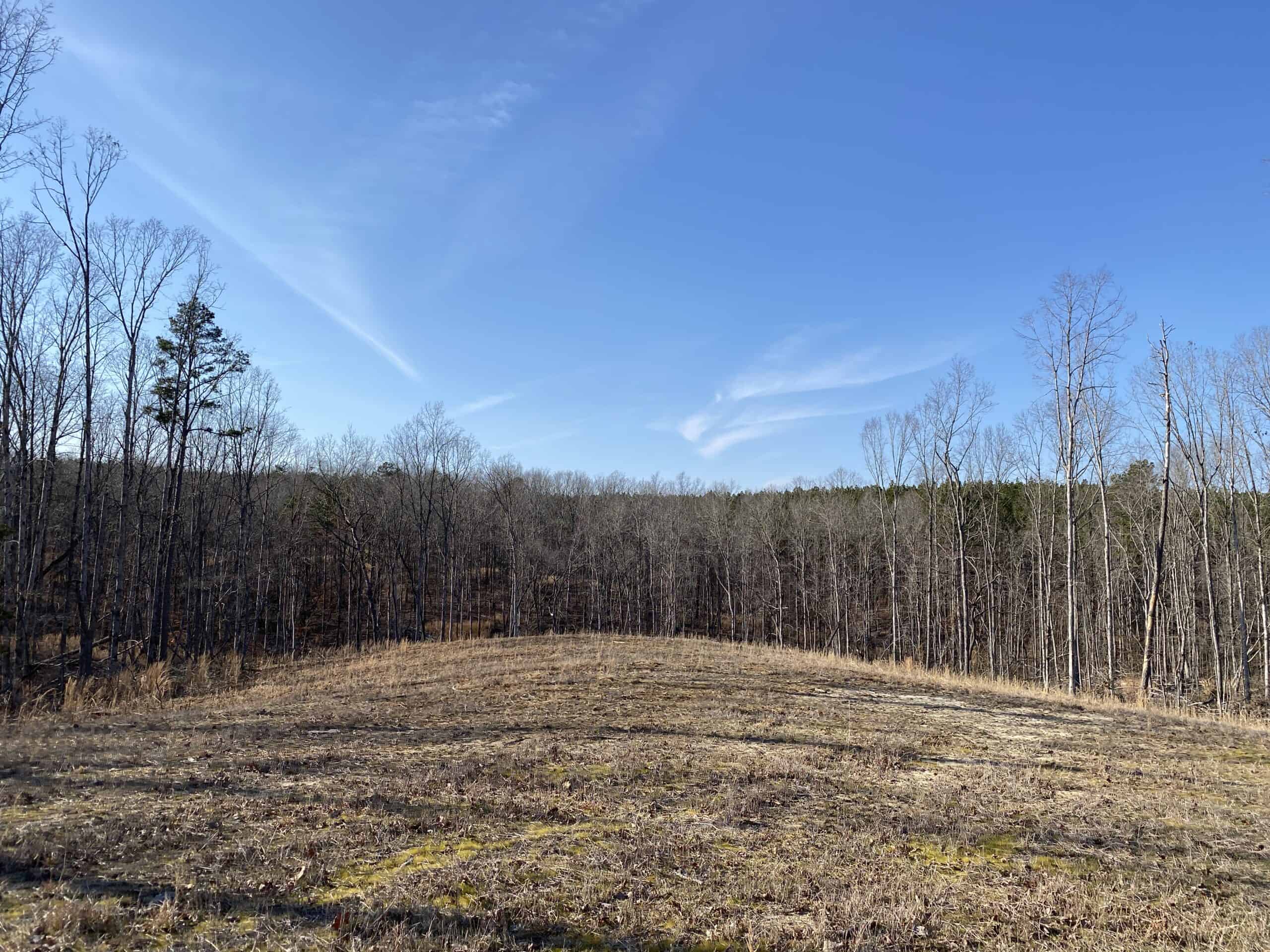 HUNTING PROPERTY FOR SALE IN TN, ROCK BOTTOM CREEKS & 5 FIELDS