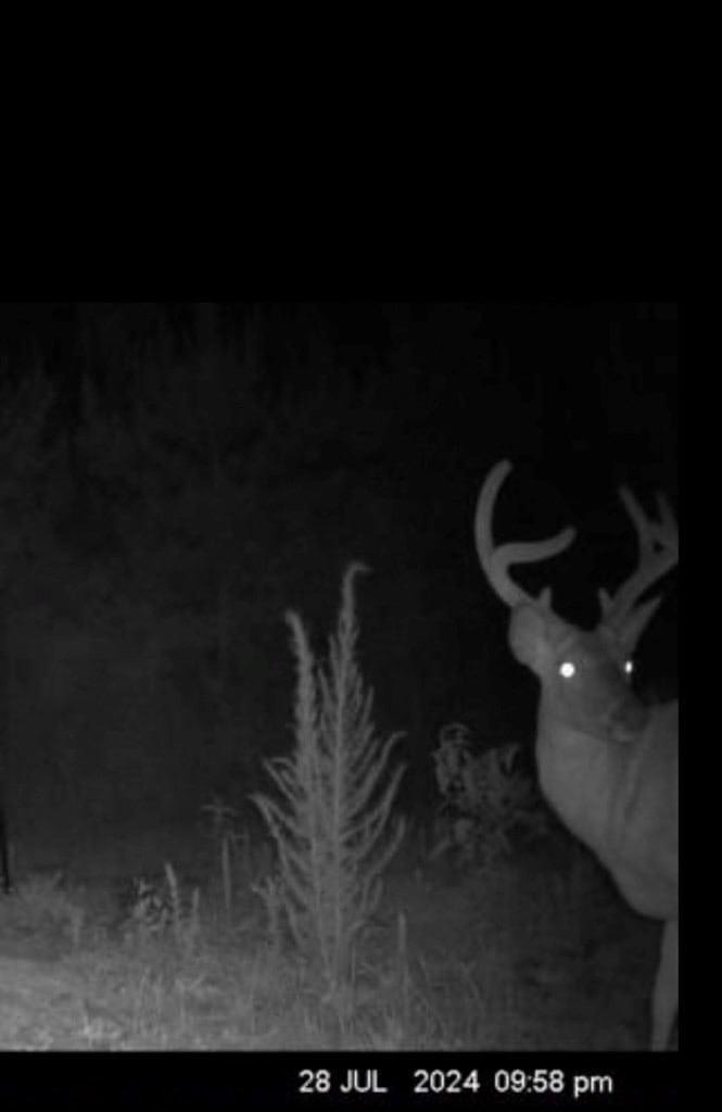 Affordable Hunting Property in Amite County