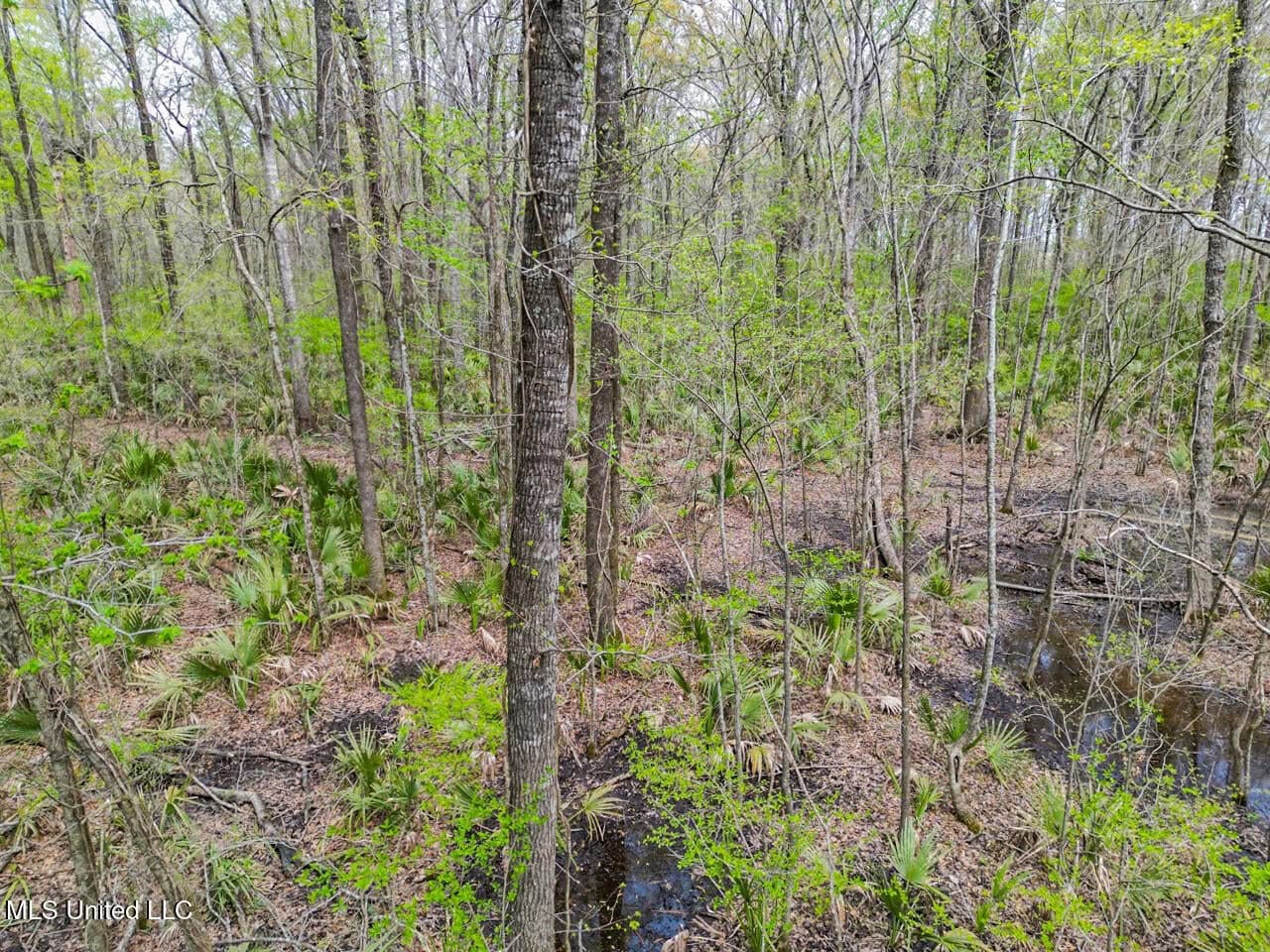 Affordable Deer/Duck Combination in Concordia Parish
