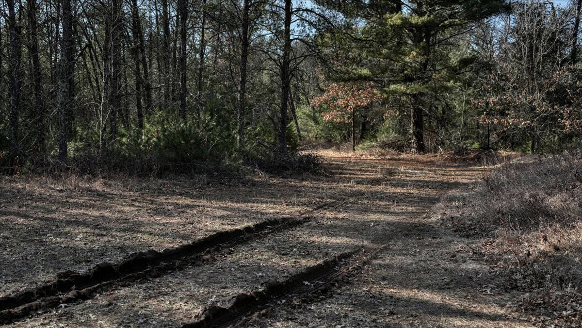 Premier Hunting and Recreational Property in Monroe County