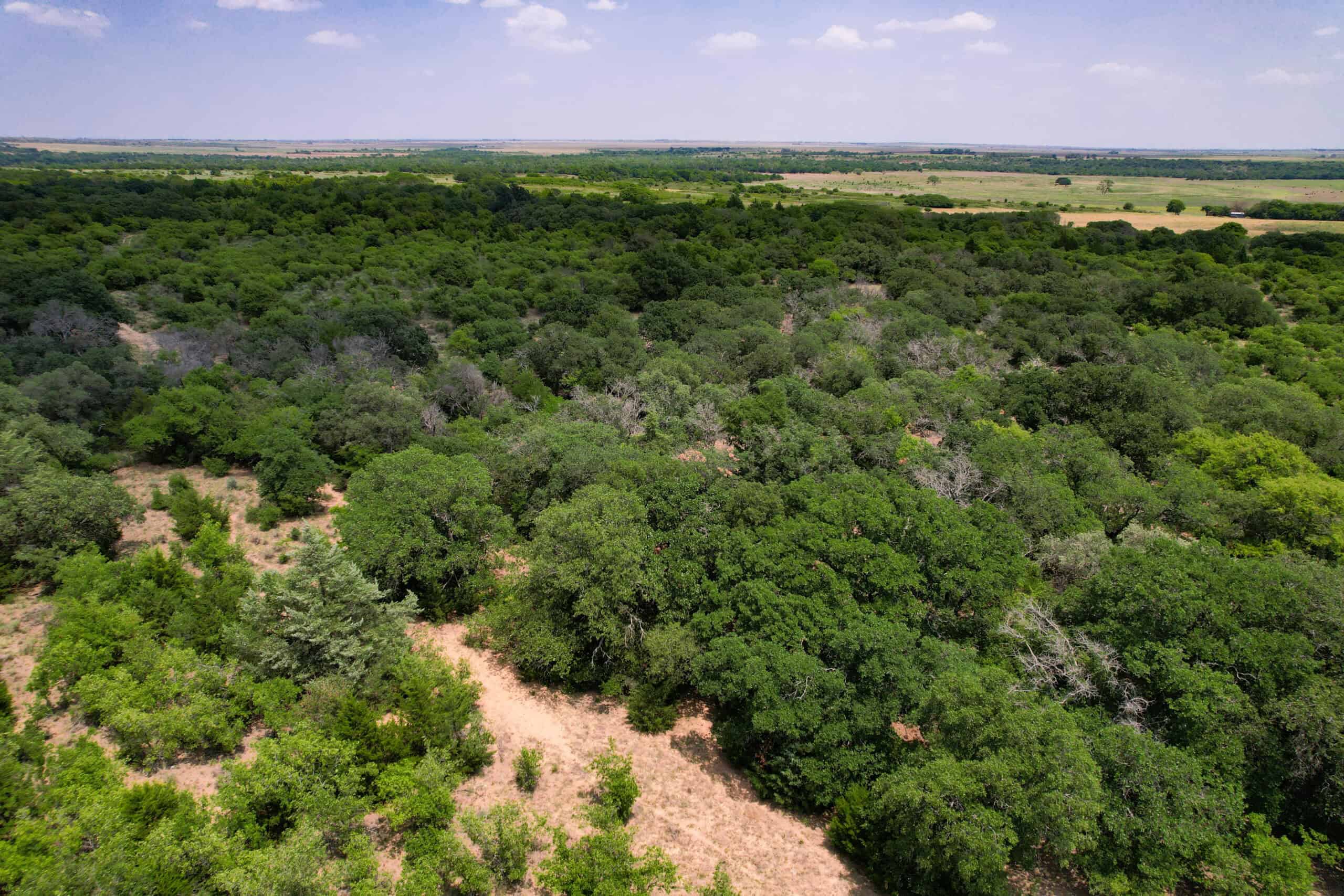 Multi-Property Auction Greer and Kiowa County Land Oklahoma