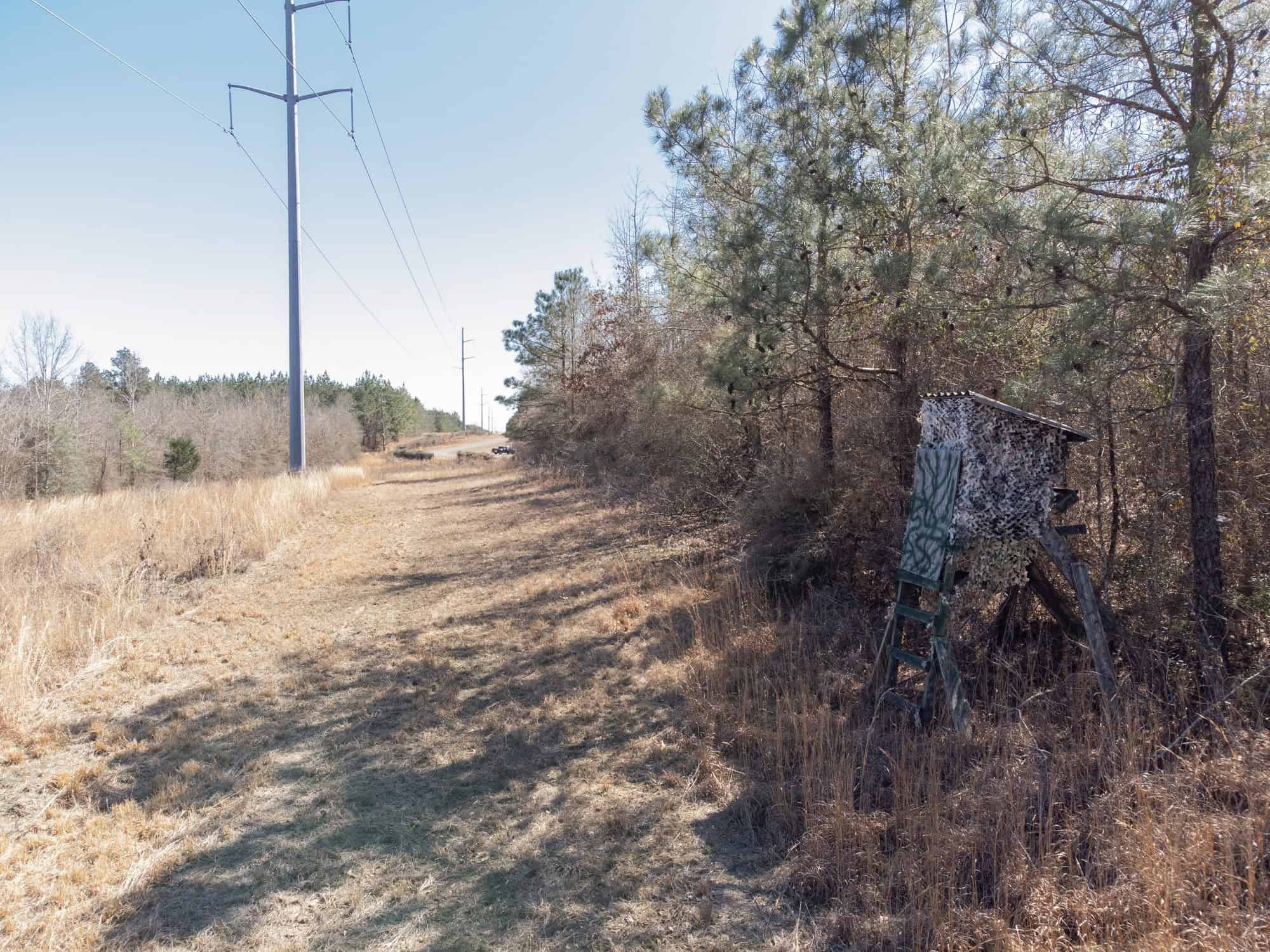 Woodville 54 – SW Lincoln Parish Timber Tract