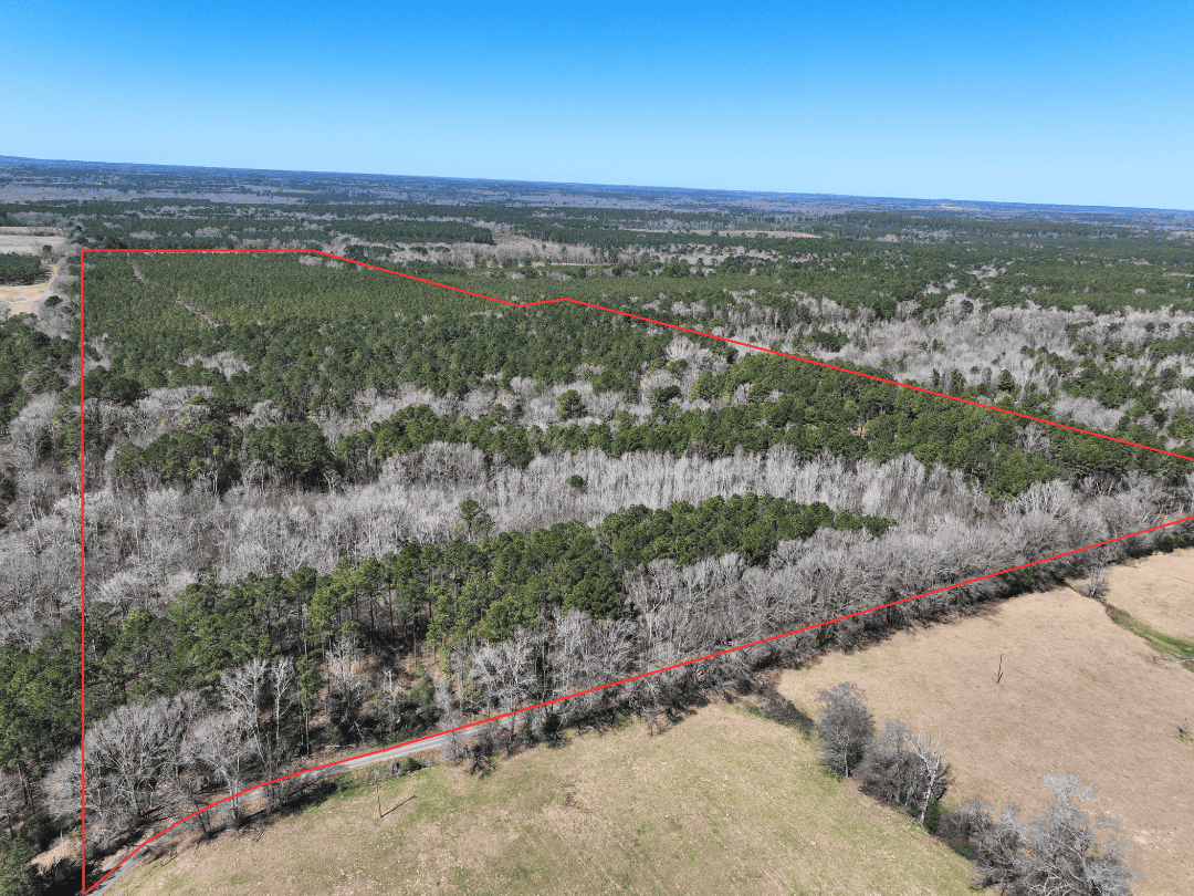 East Texas Timberland Investment & Hunting Tract