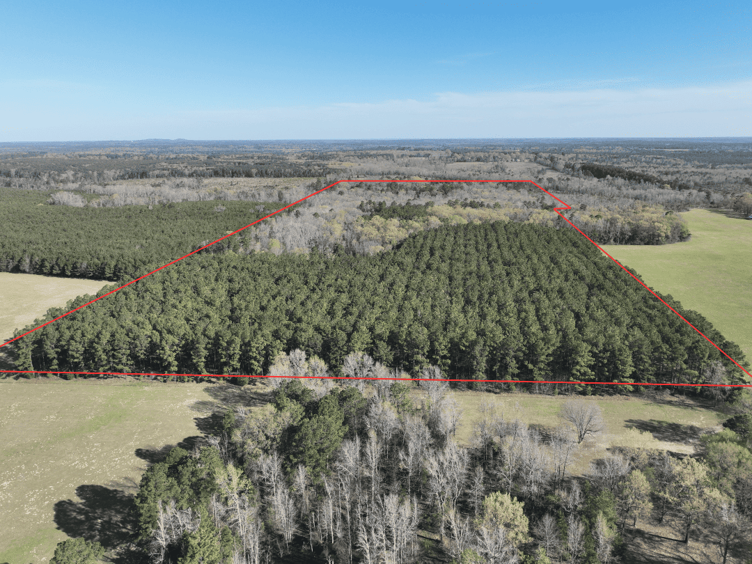 Hunting & Timber Investment Property for Sale in East Texas