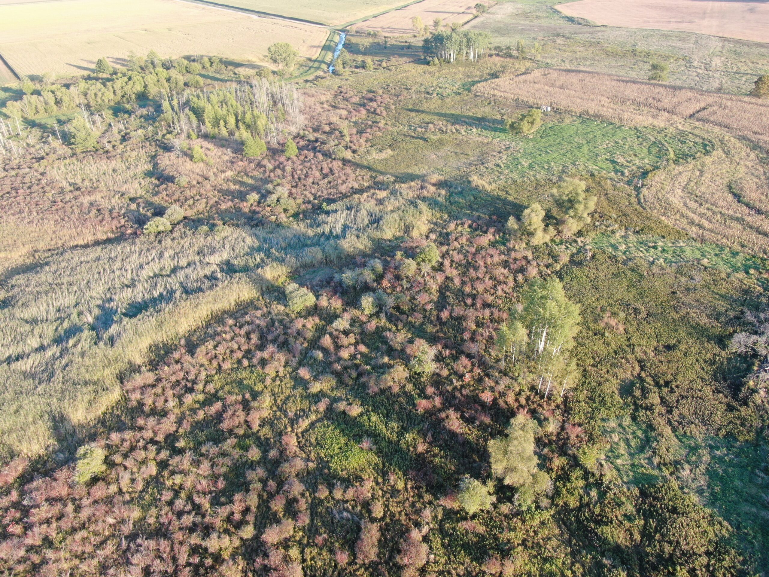 40-acre gem in Marquette County, Wisconsin