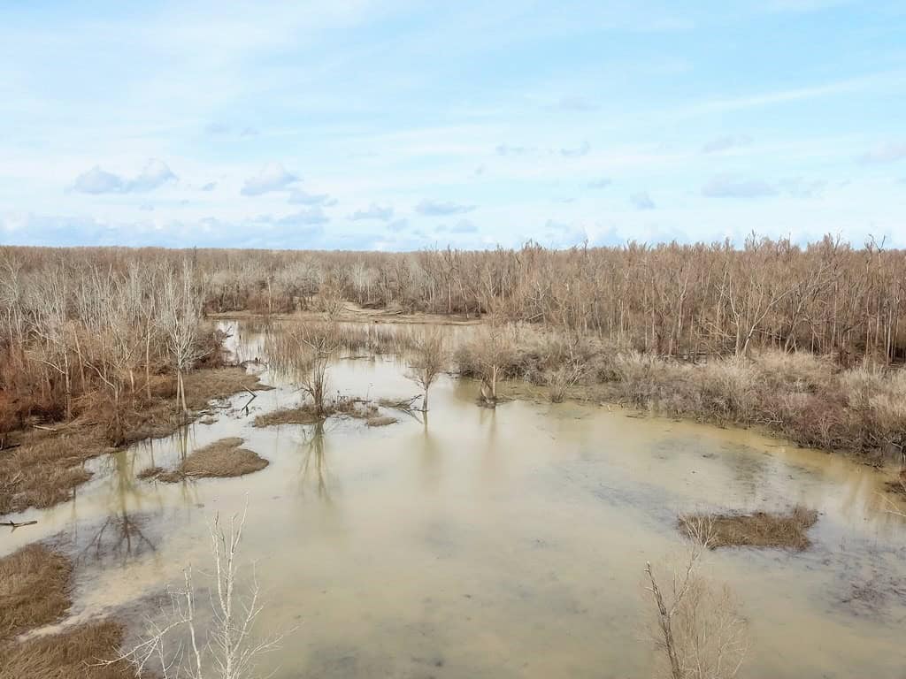 1001 Travelers Rest Road